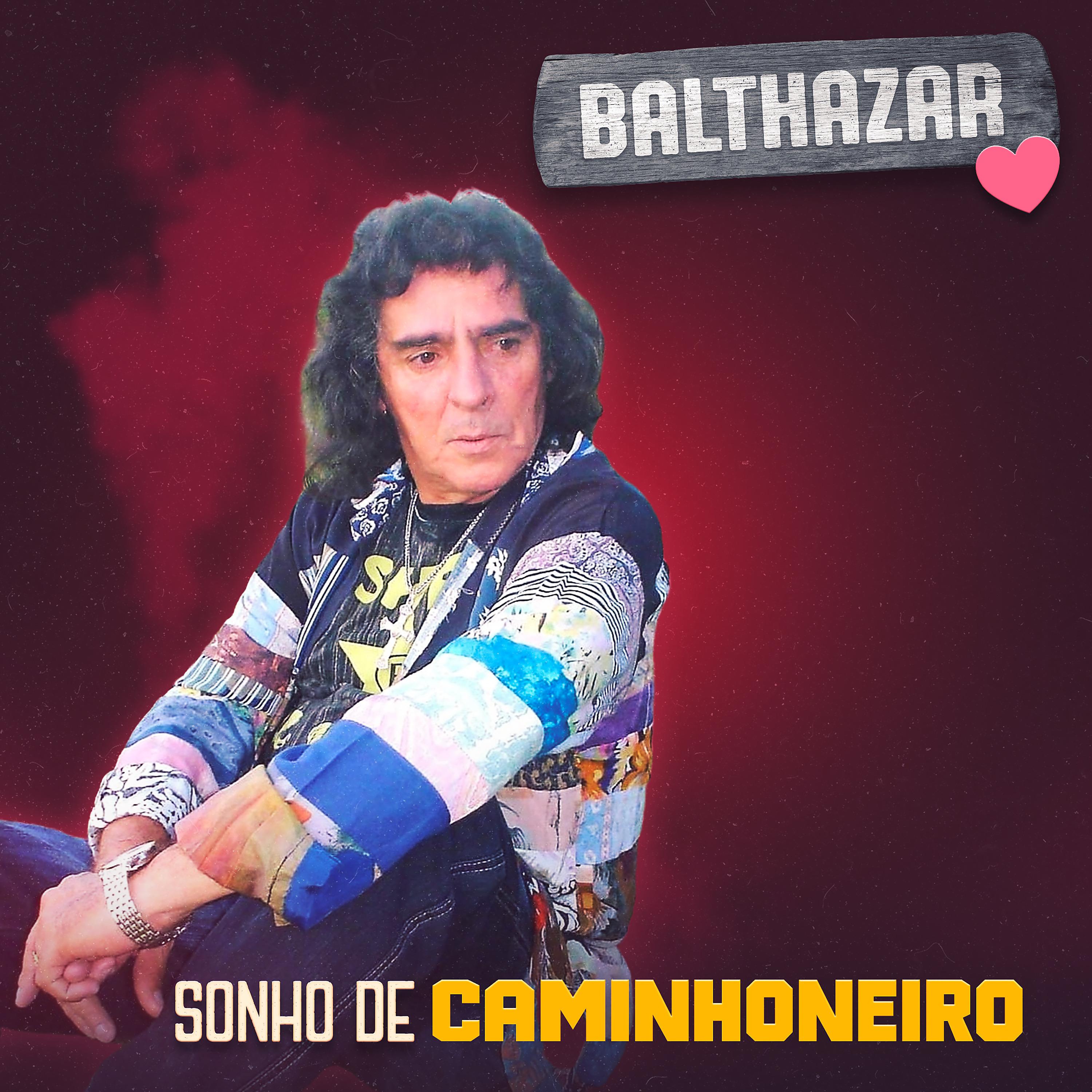 Постер альбома Sonho de Caminhoneiro