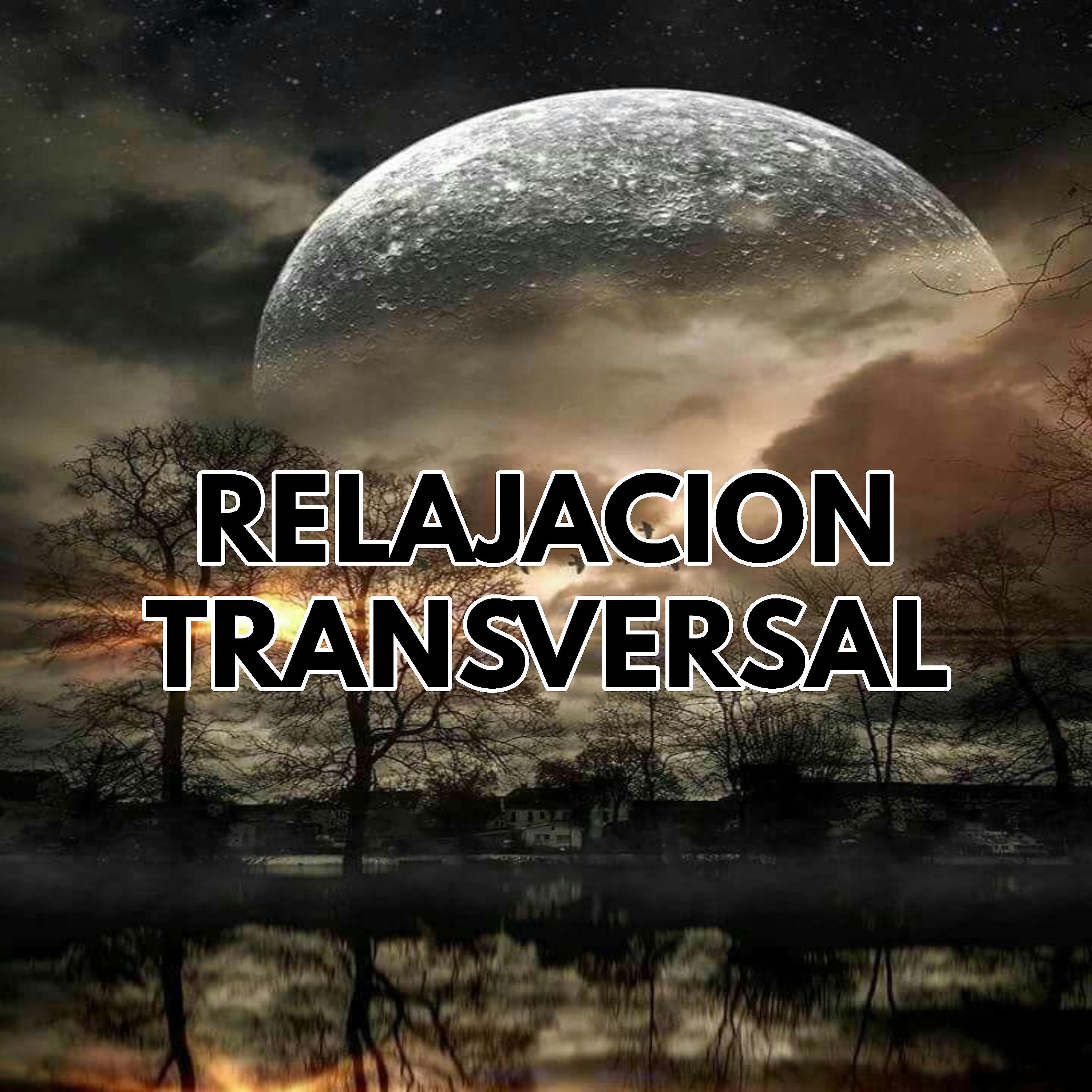 Постер альбома Relajación Transversal