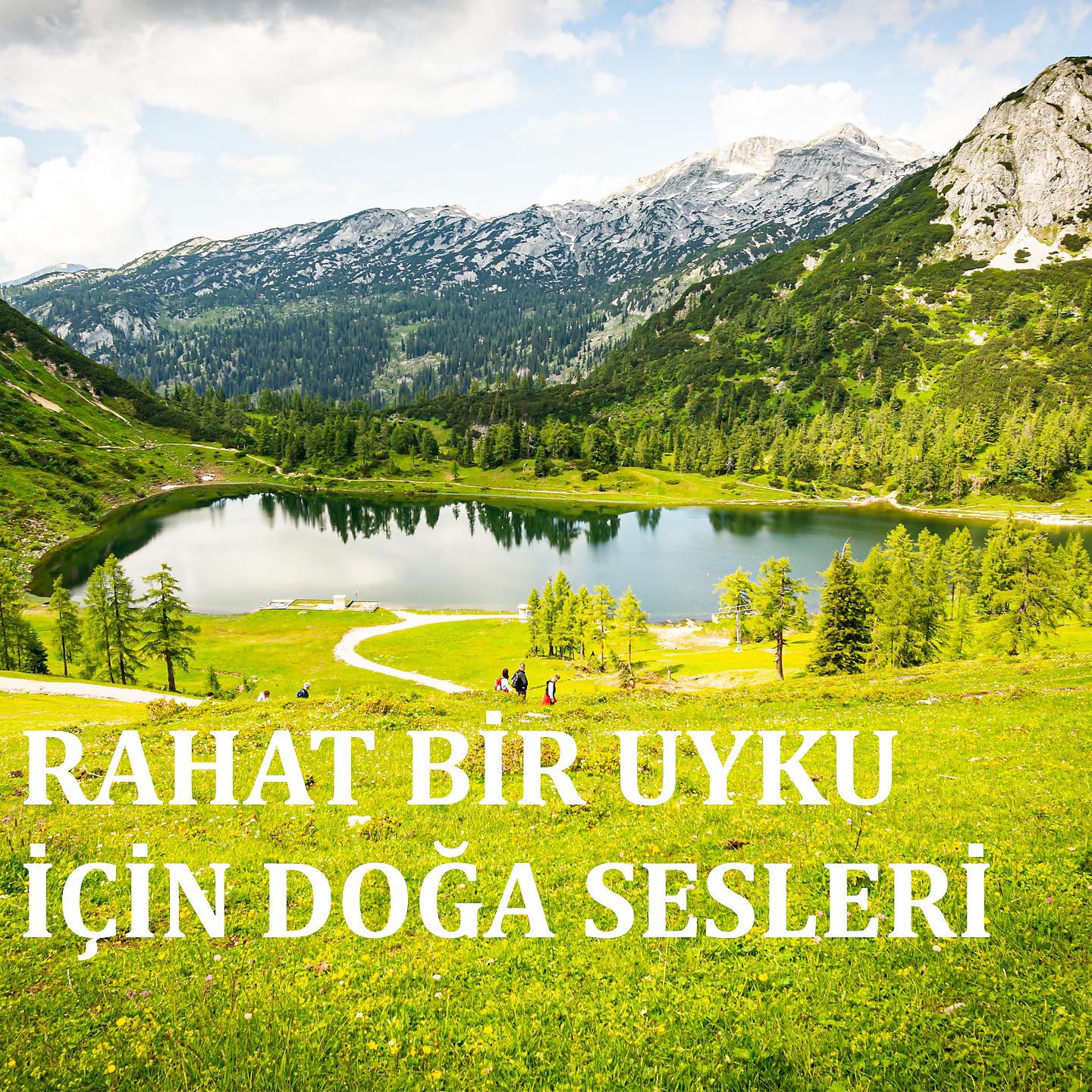 Постер альбома Rahat Bir Uyku İçin Doğa Sesleri