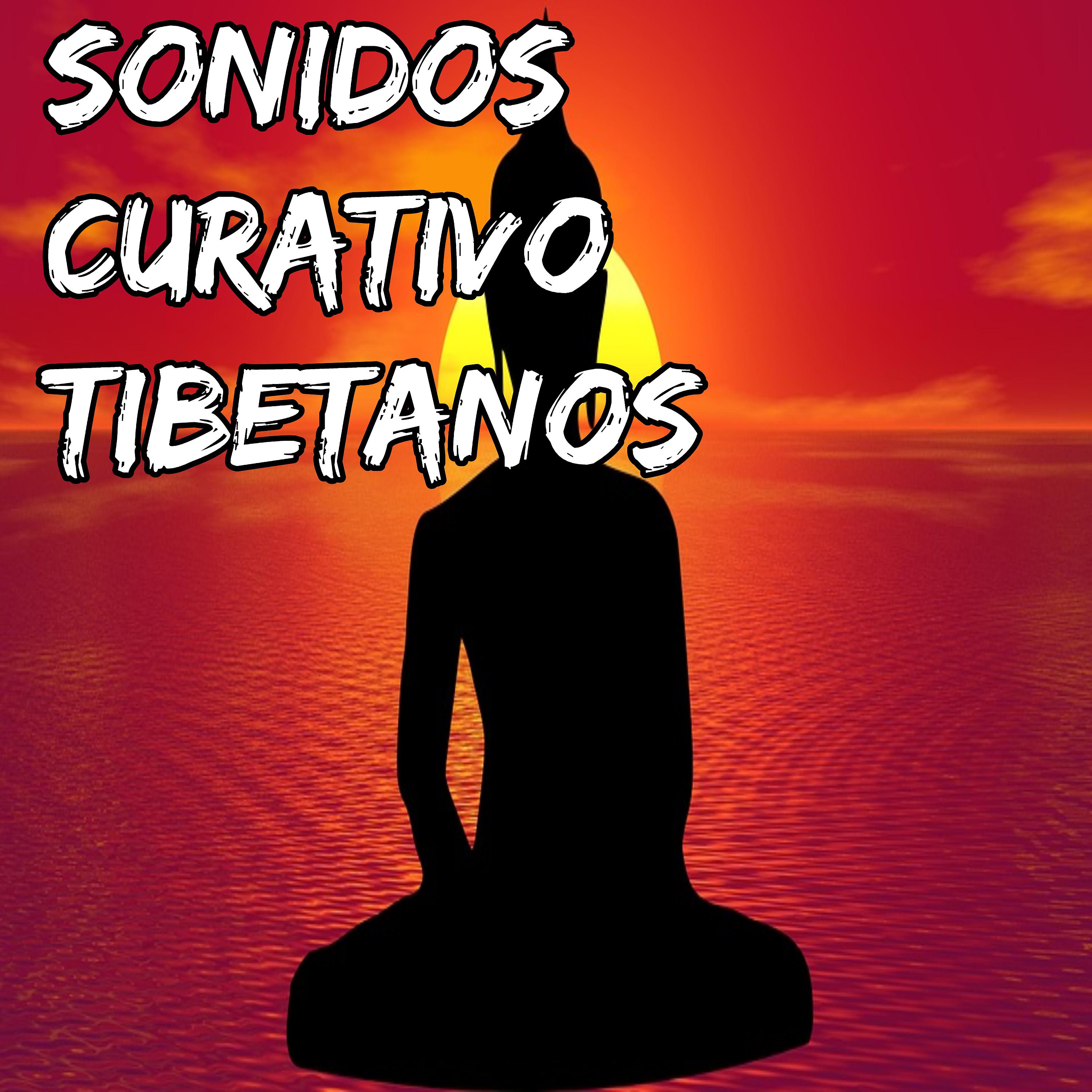 Постер альбома Sonidos Curativos Tibetanos