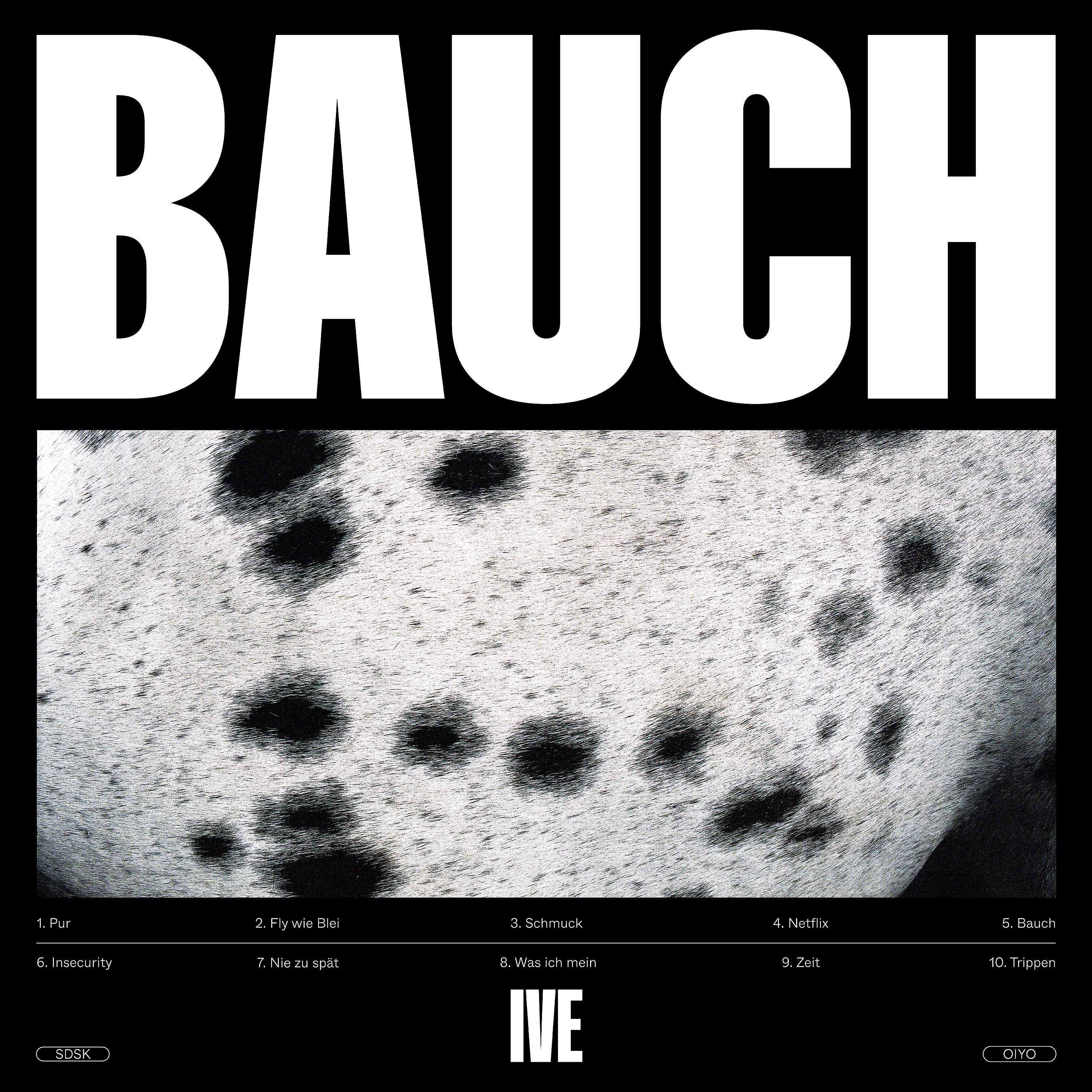 Постер альбома Bauch