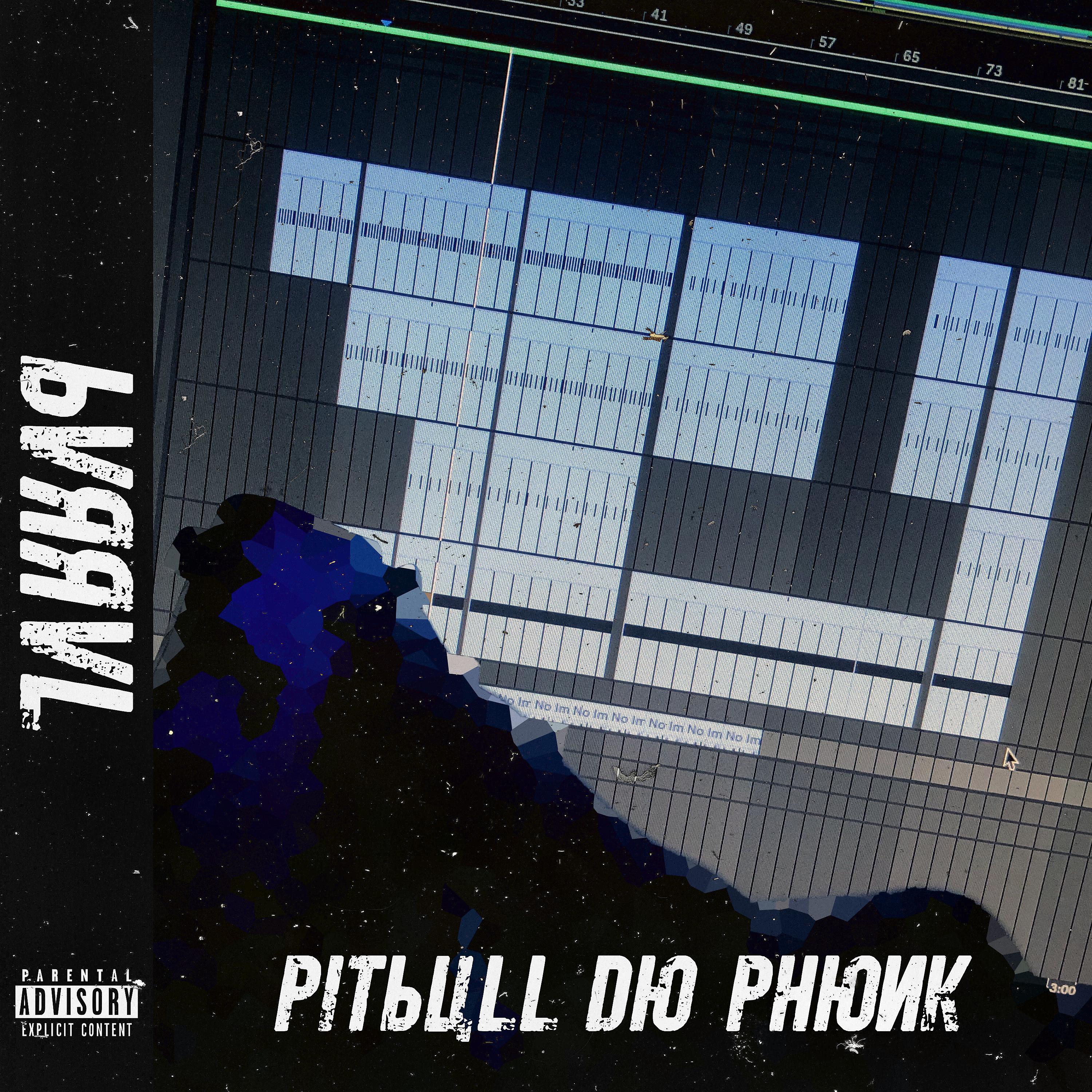 Постер альбома Pitbull do Phonk