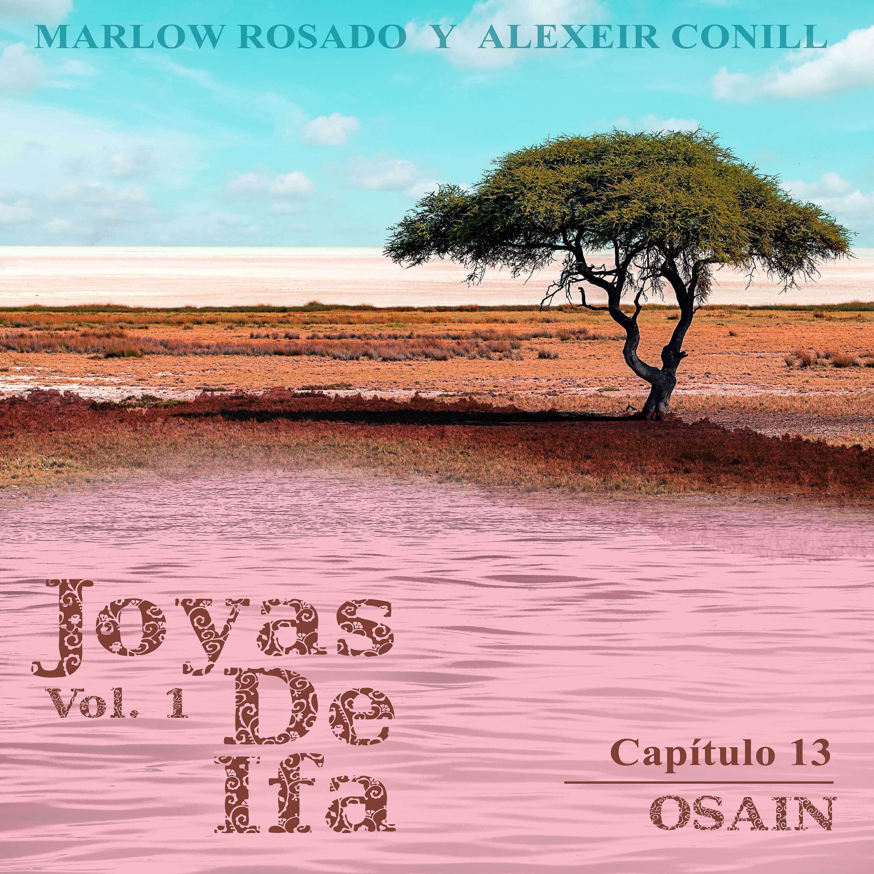 Постер альбома Osain (Joyas de Ifa Vol. 1 Capitulo 13)