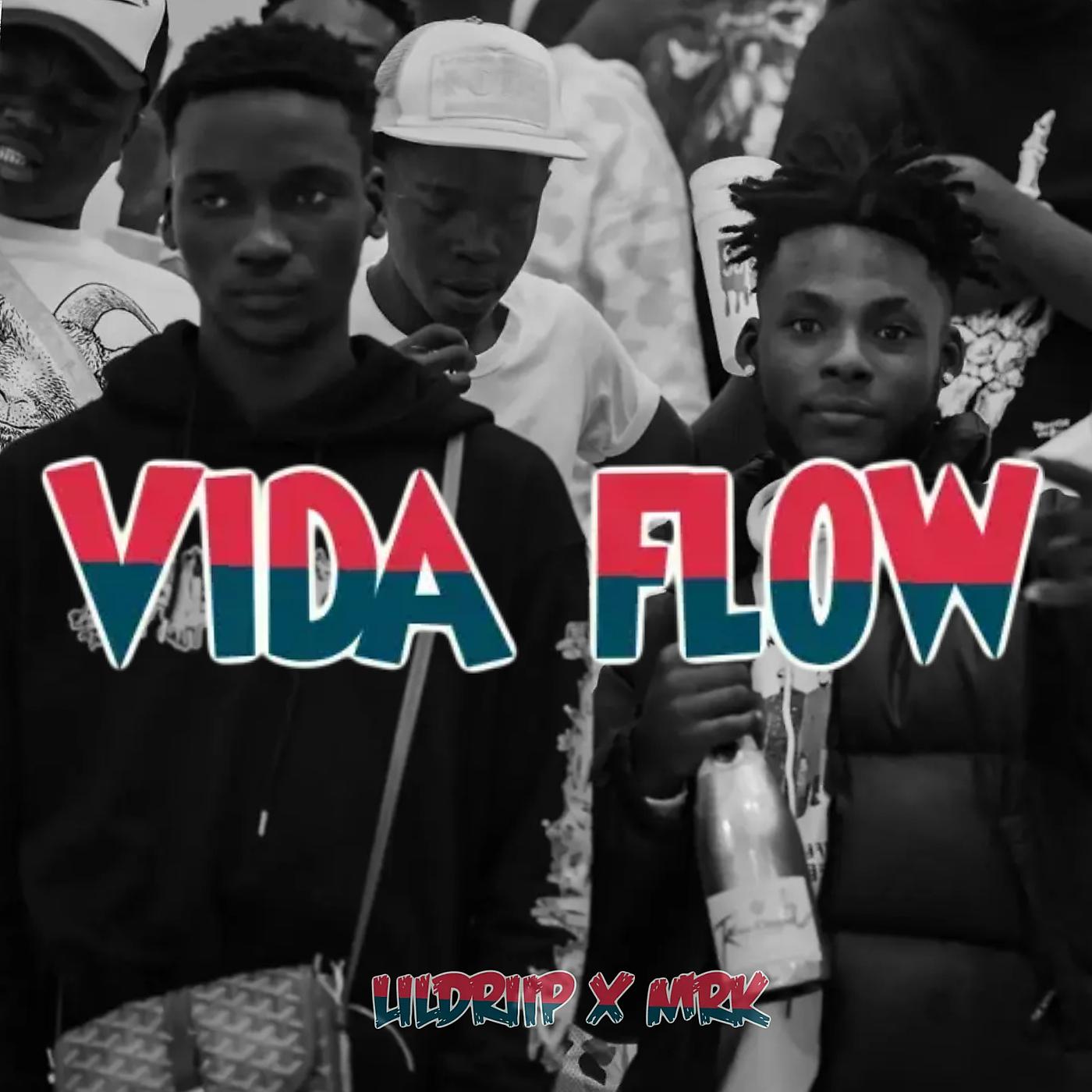 Постер альбома Vida Flow