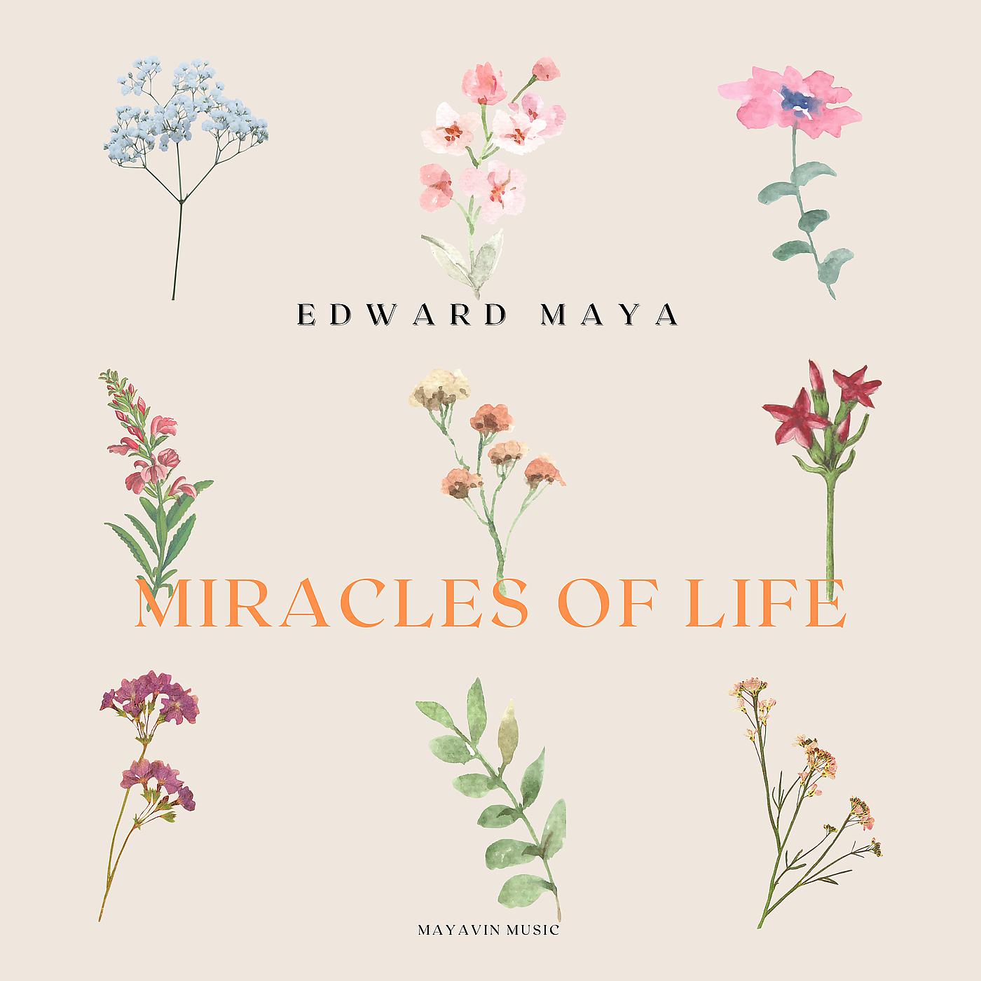 Постер альбома Miracles of Life