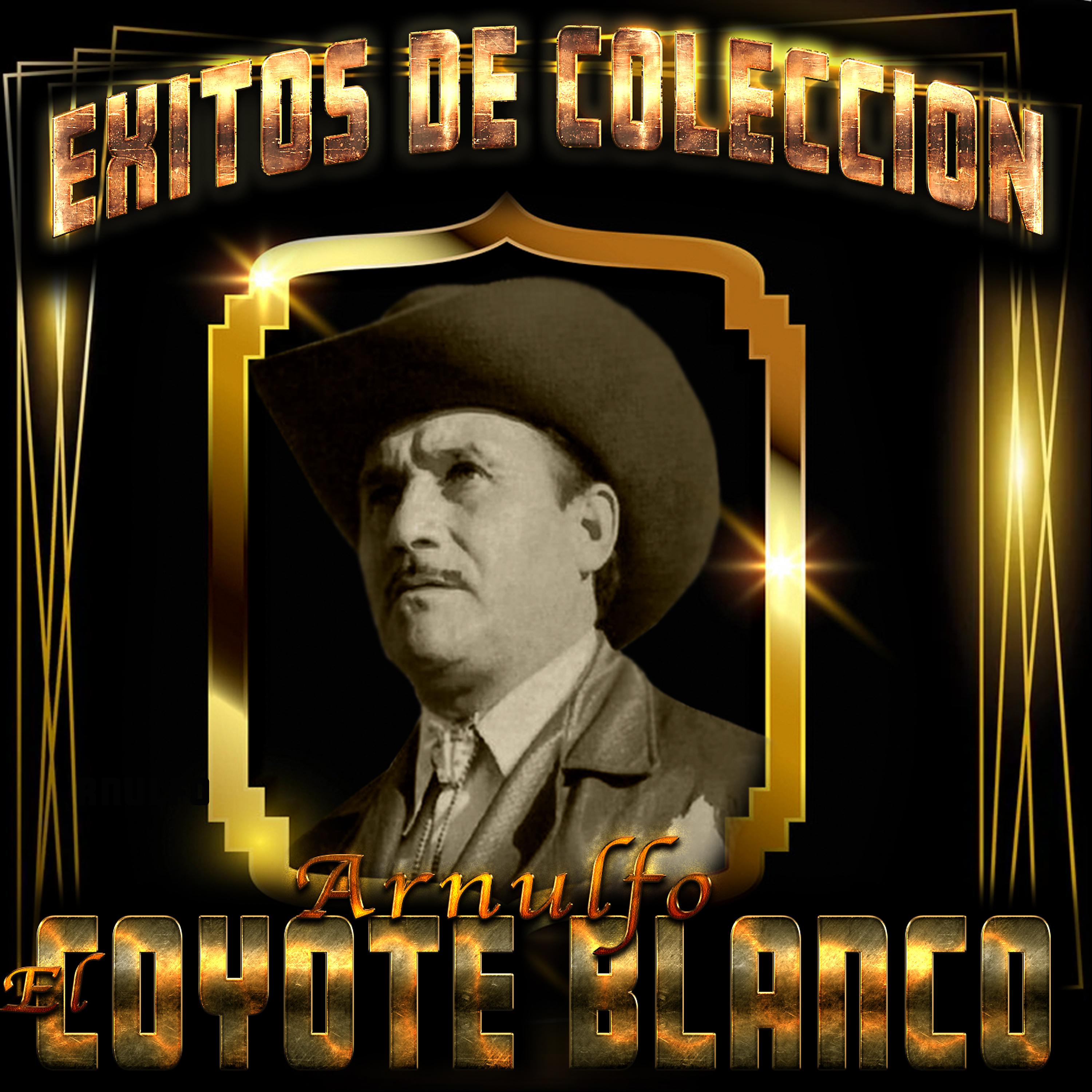 Постер альбома Exitos de Colección