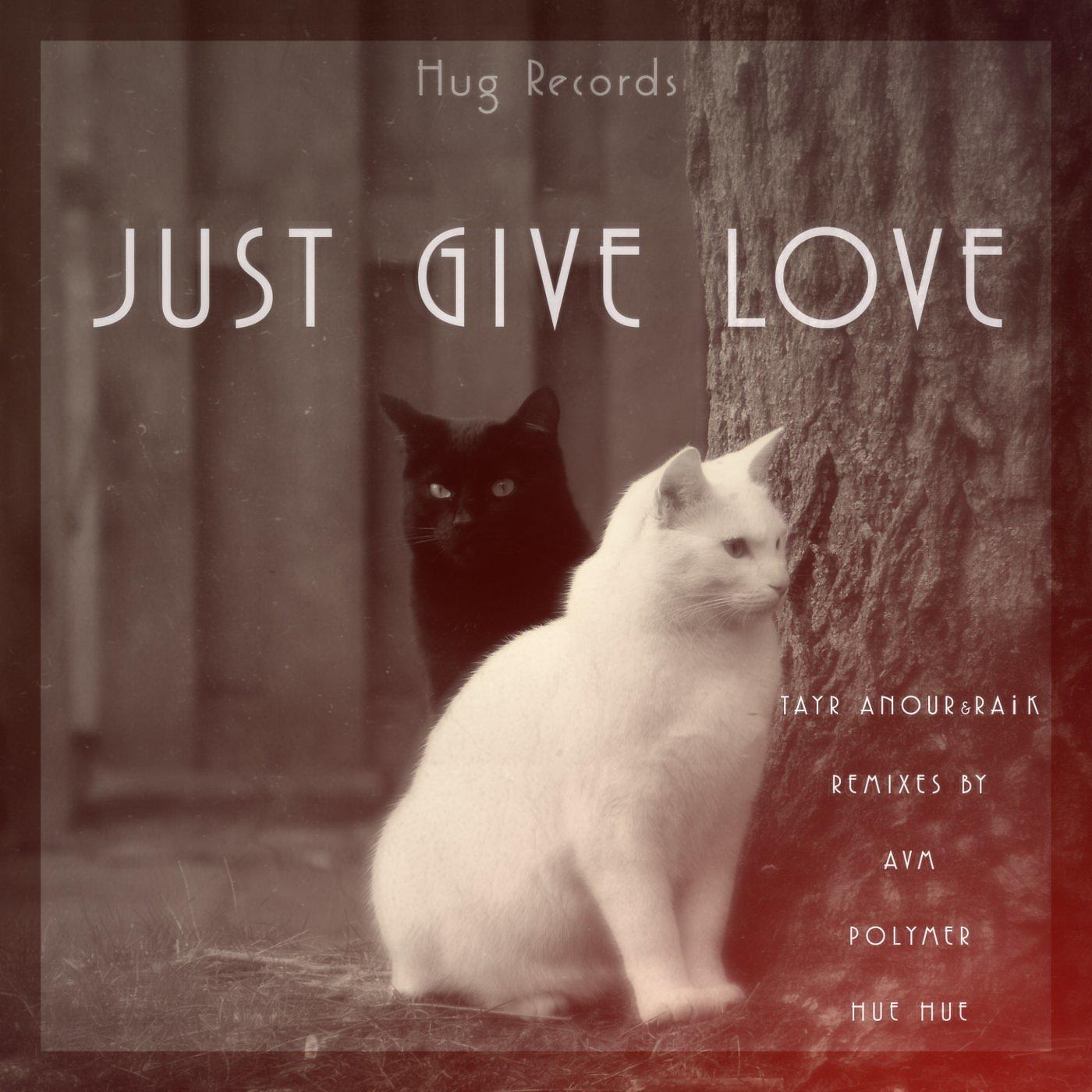 Постер альбома Just Give Love