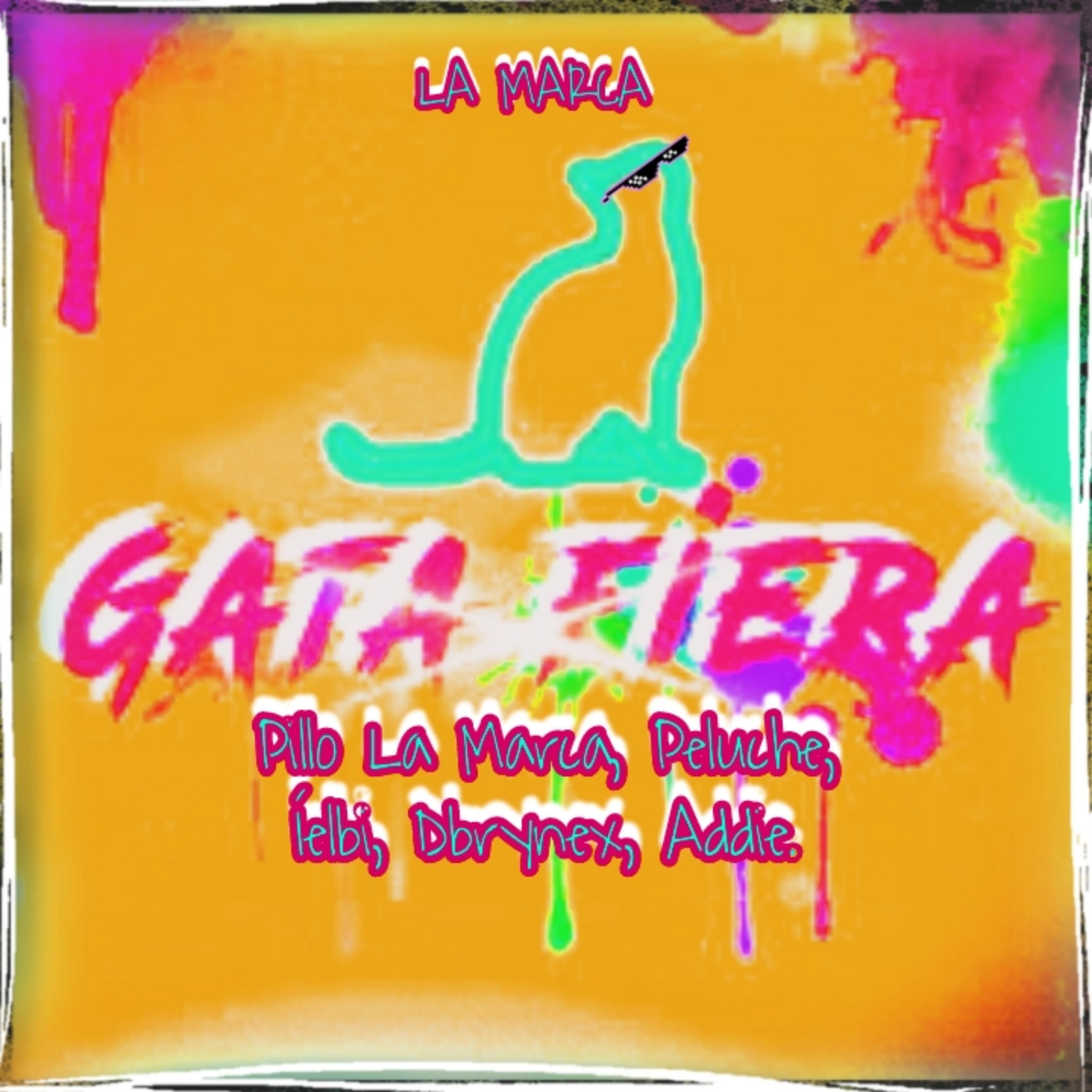Постер альбома Gata Fiera