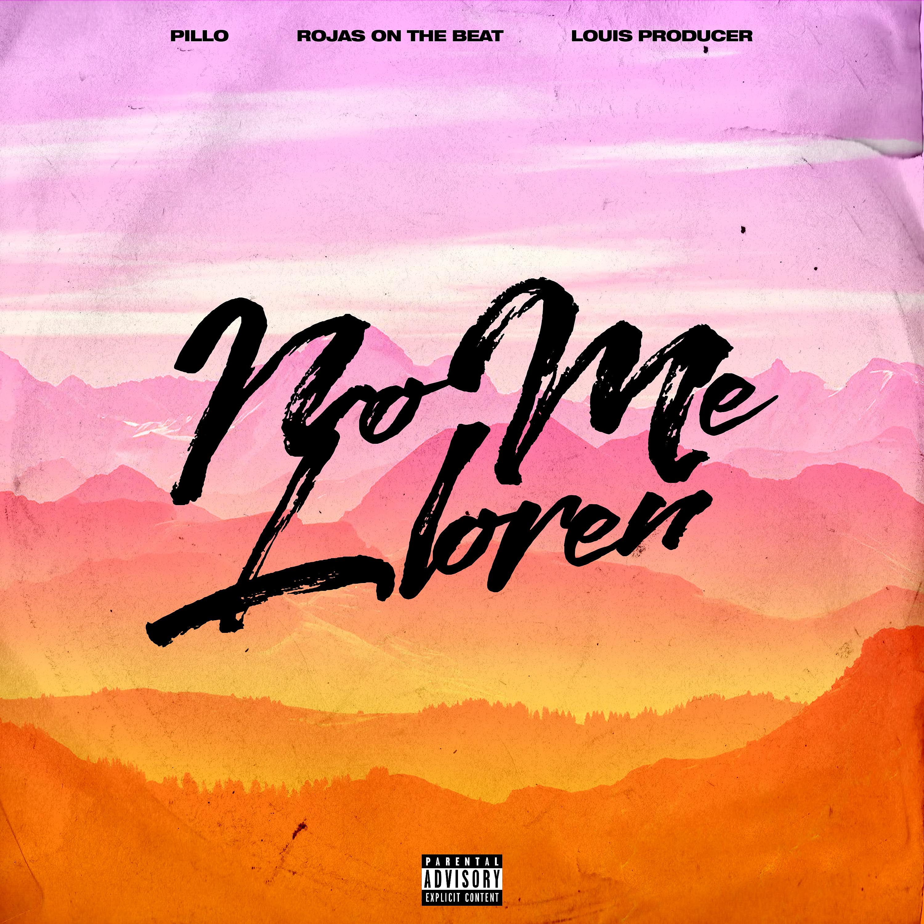Постер альбома No Me Lloren