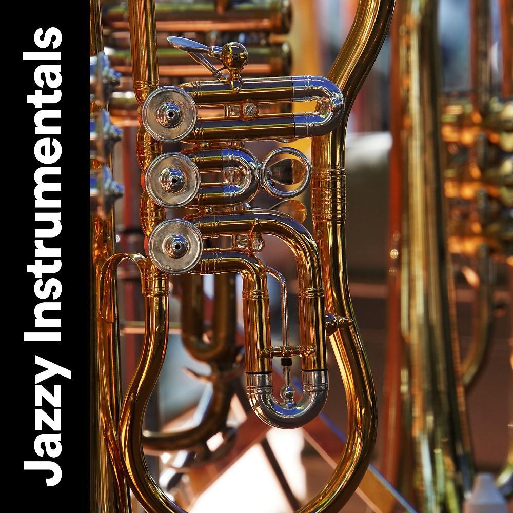 Постер альбома Jazzy Instrumentals