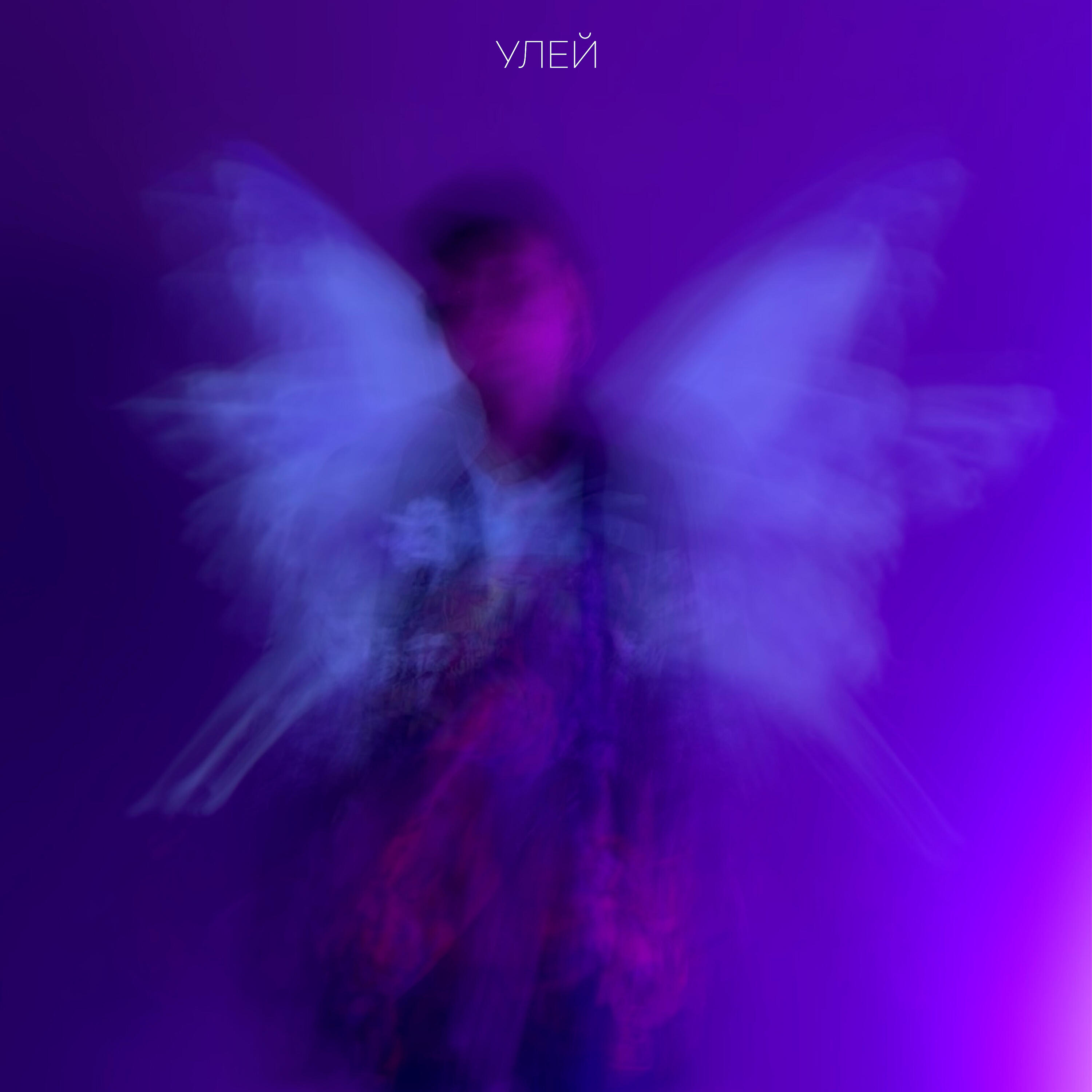 vienskiy - Улей