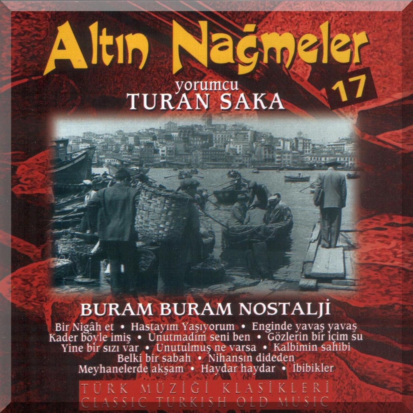 Постер альбома Altın Nağmeler, Vol. 17