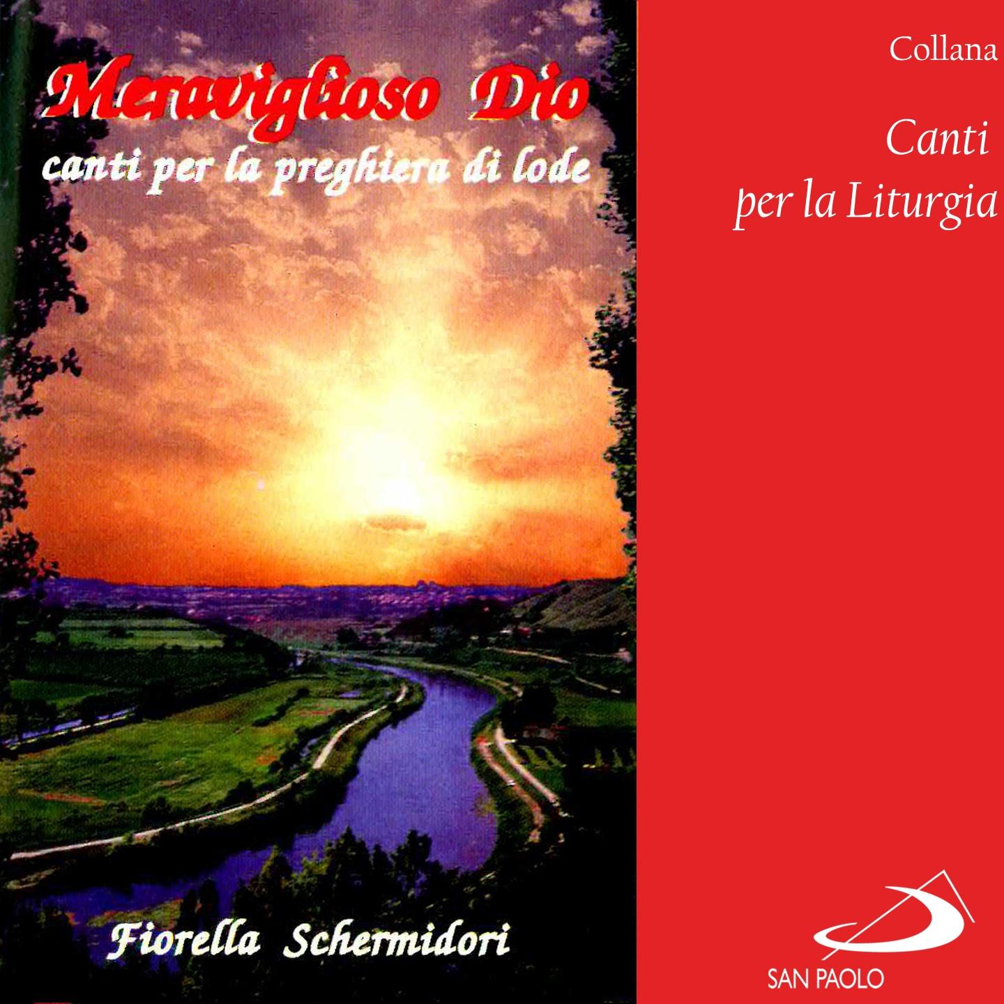Постер альбома Collana canti per la liturgia: Meraviglioso Dio