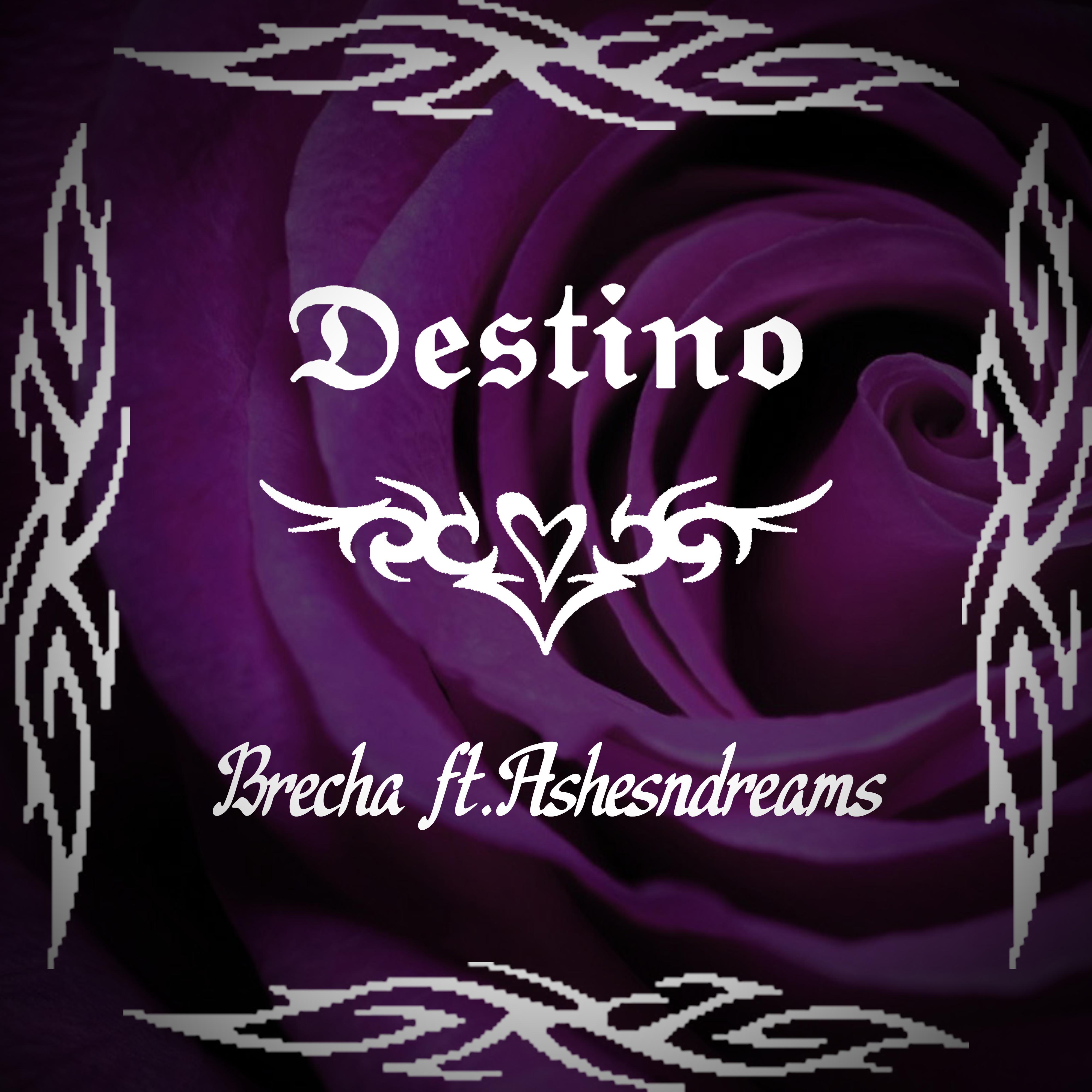 Постер альбома Destino (feat. Ashesndreams)