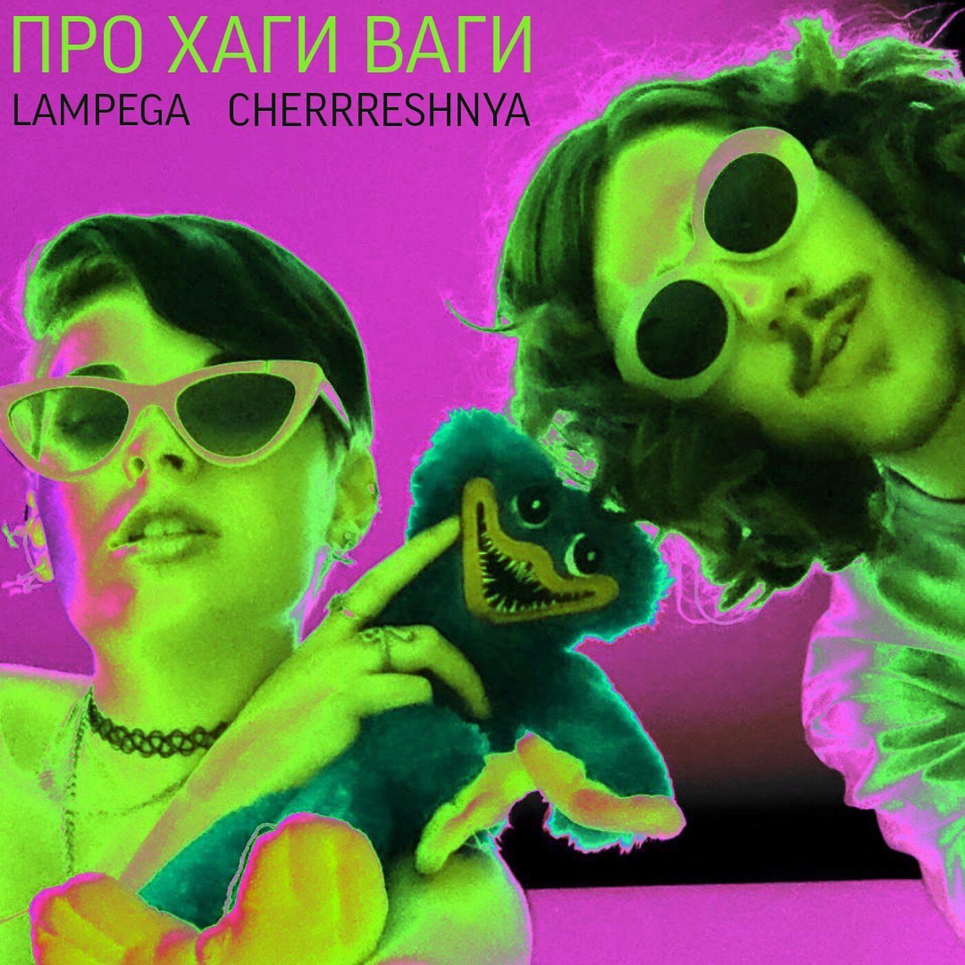 Постер альбома Про Хаги Ваги (feat. Cherrreshnya)