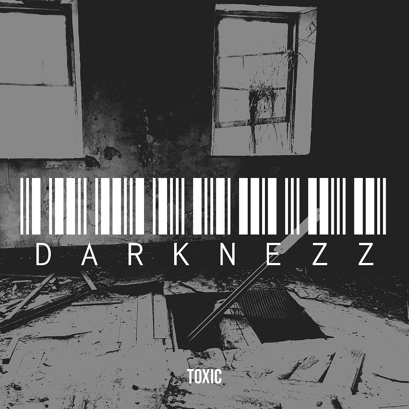 Постер альбома DarkNeZz