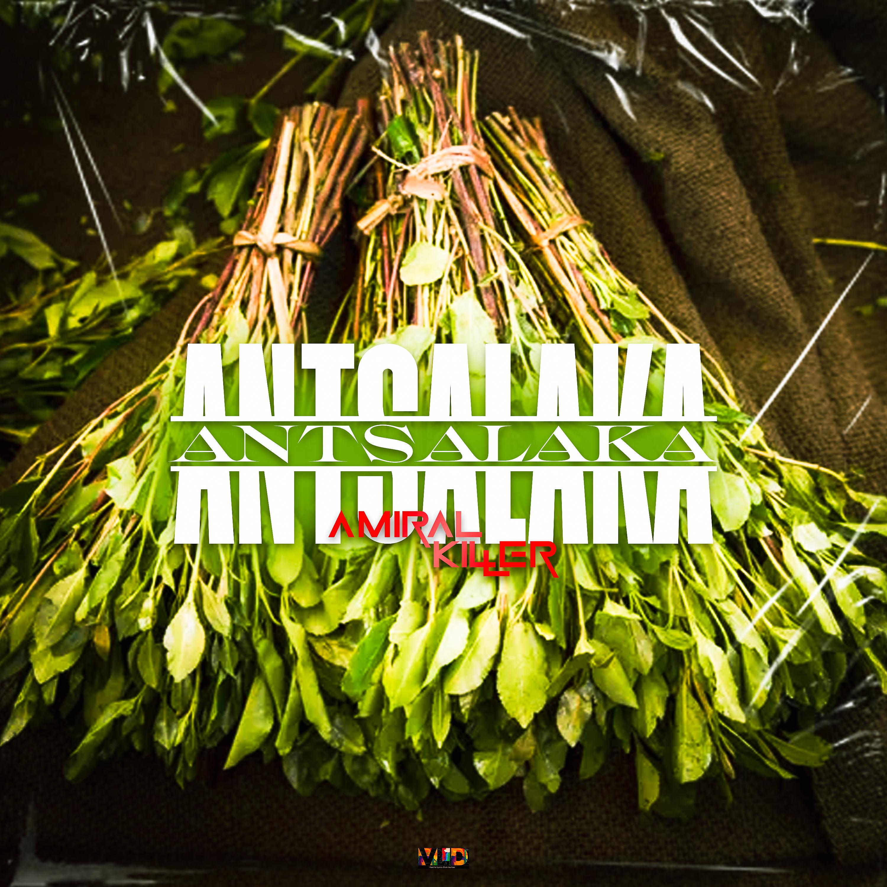 Постер альбома Antsalaka