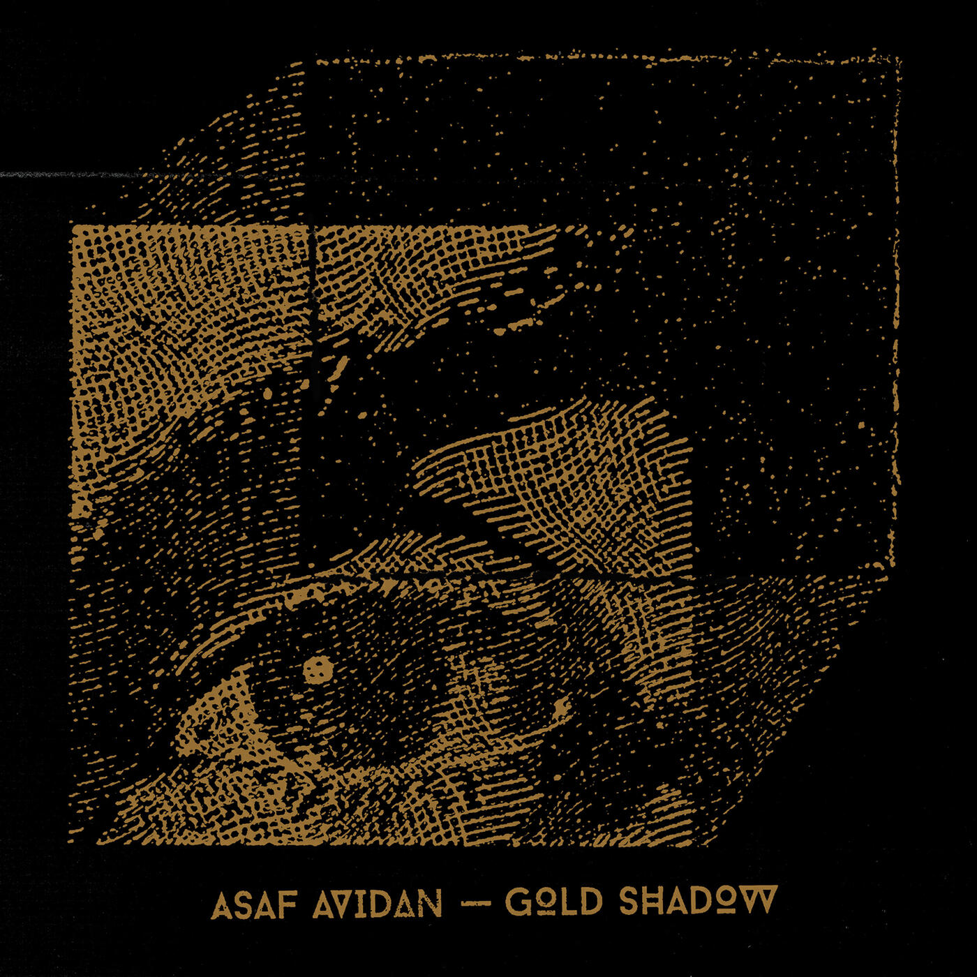 Asaf Avidan - Little Parcels Of An Endless Time