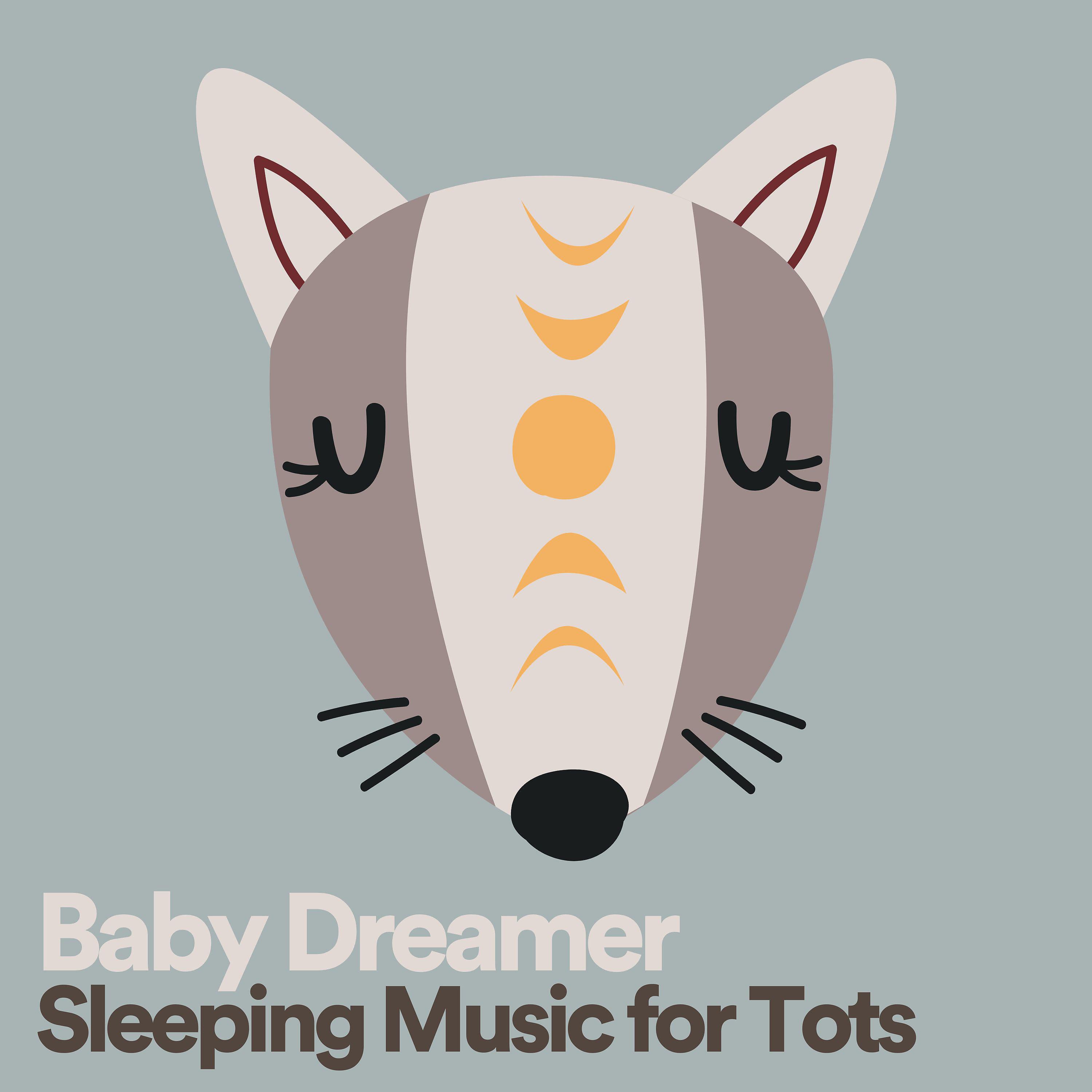 Постер альбома Baby Dreamer Sleeping Music for Tots