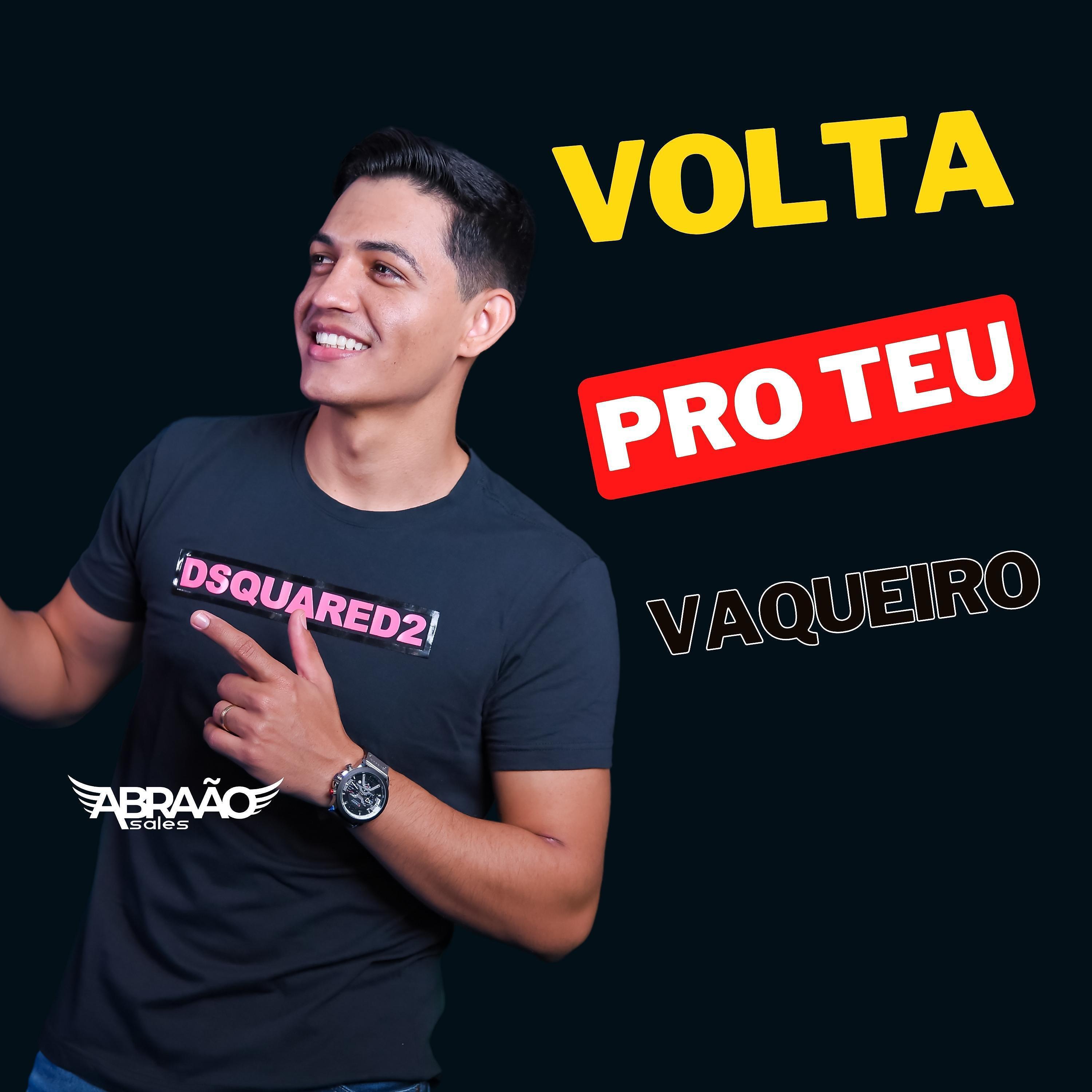 Постер альбома Volta pro Teu Vaqueiro