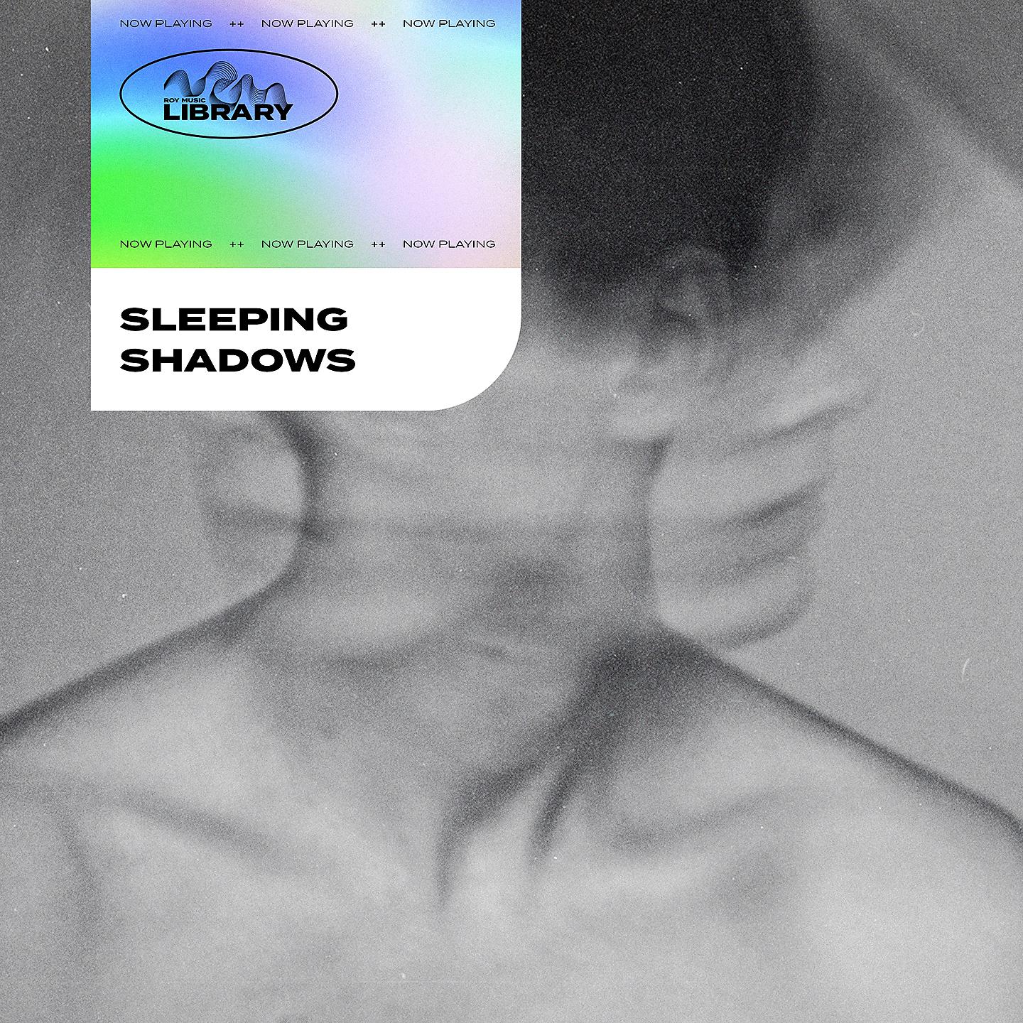 Постер альбома Roy Music Library - Sleeping Shadows