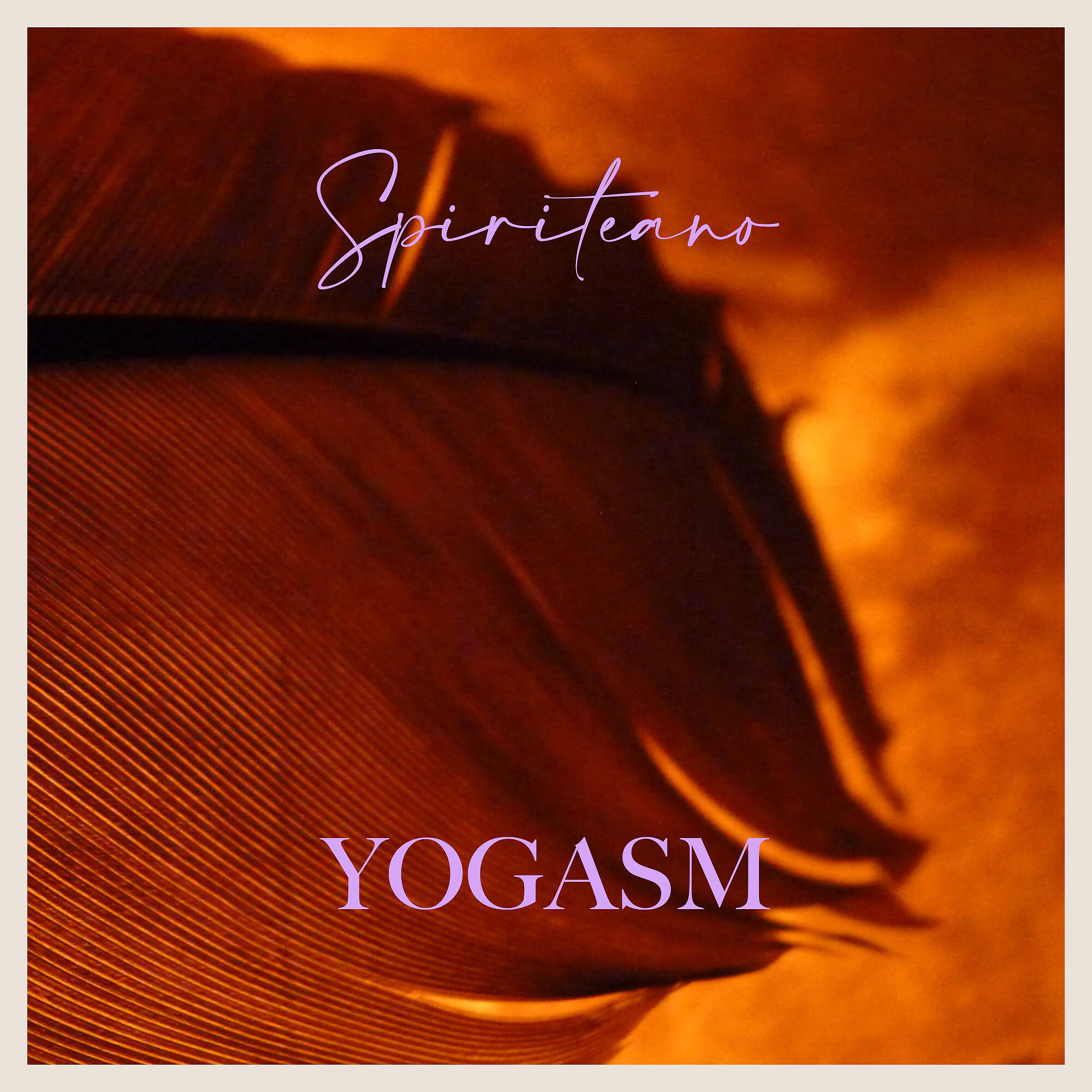 Постер альбома Yogasm
