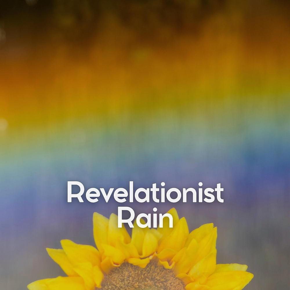 Постер альбома Revelationist Rain