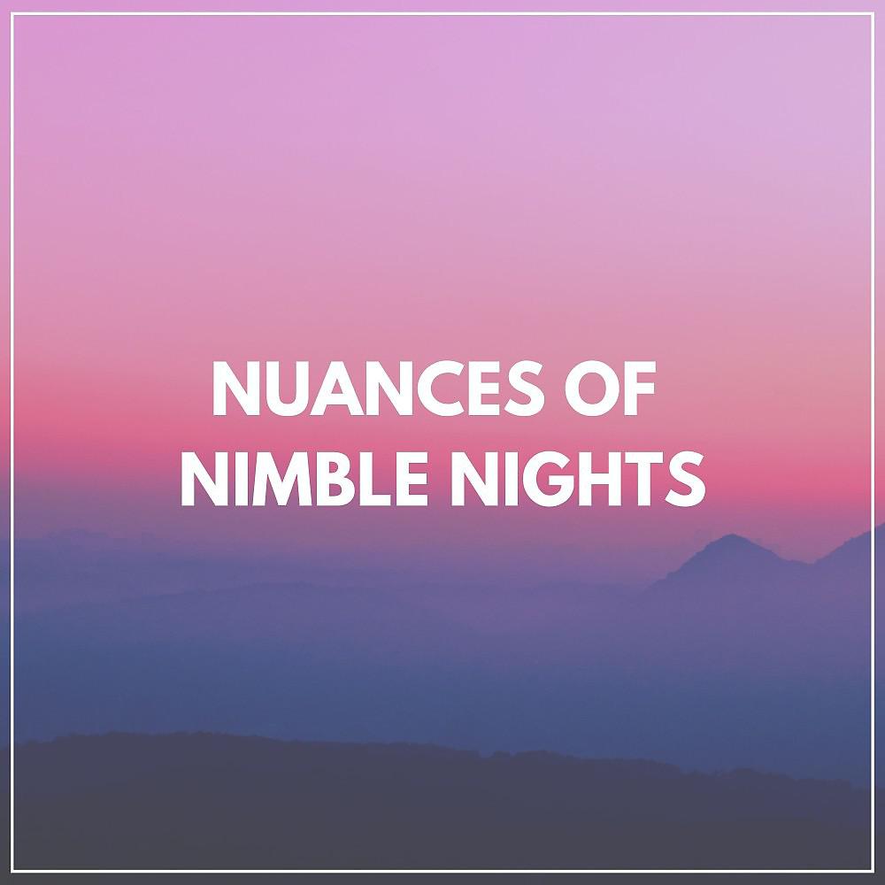 Постер альбома Nuances of Nimble Nights