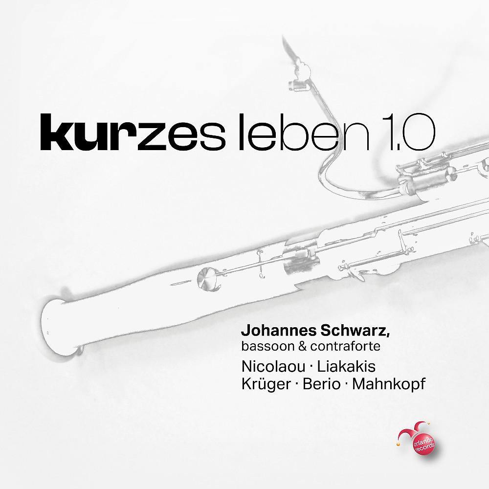 Постер альбома Kurzes leben 1.0 - Works for Solo Bassoon