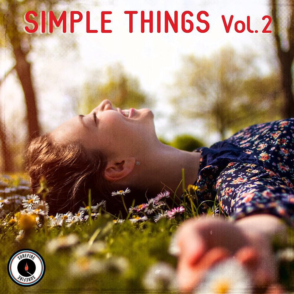Постер альбома Simple Things, Vol. 2