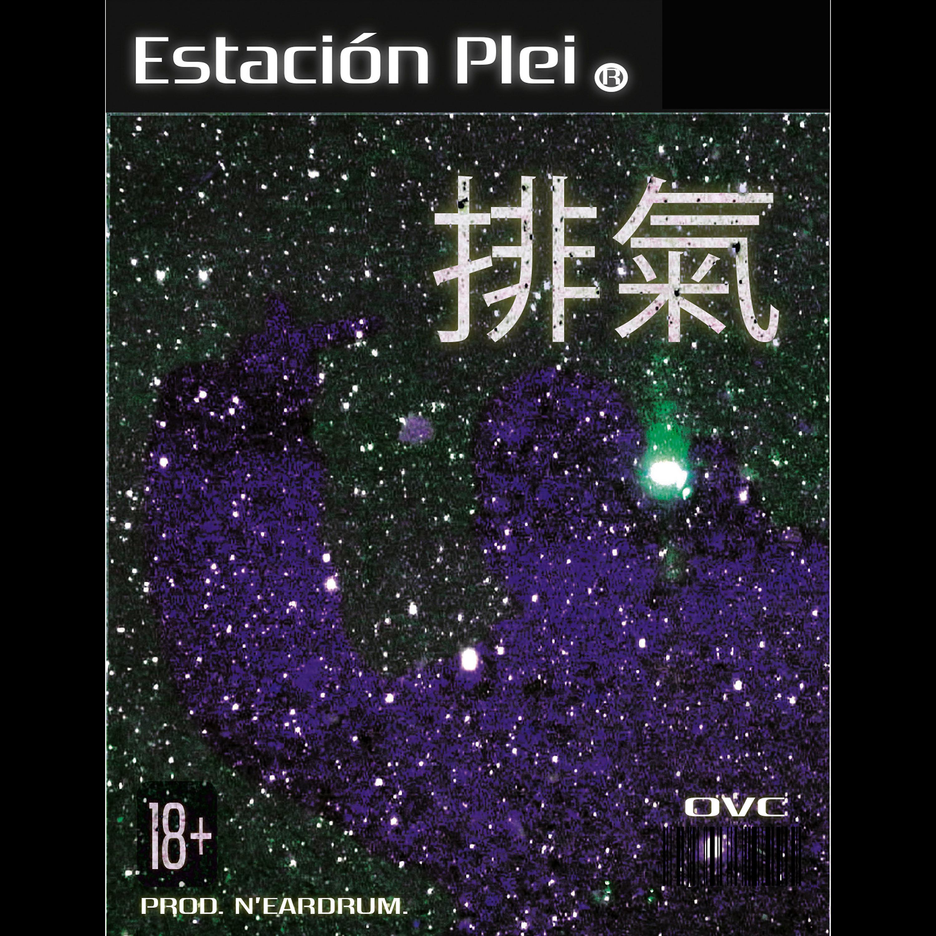 Постер альбома Estación Plei