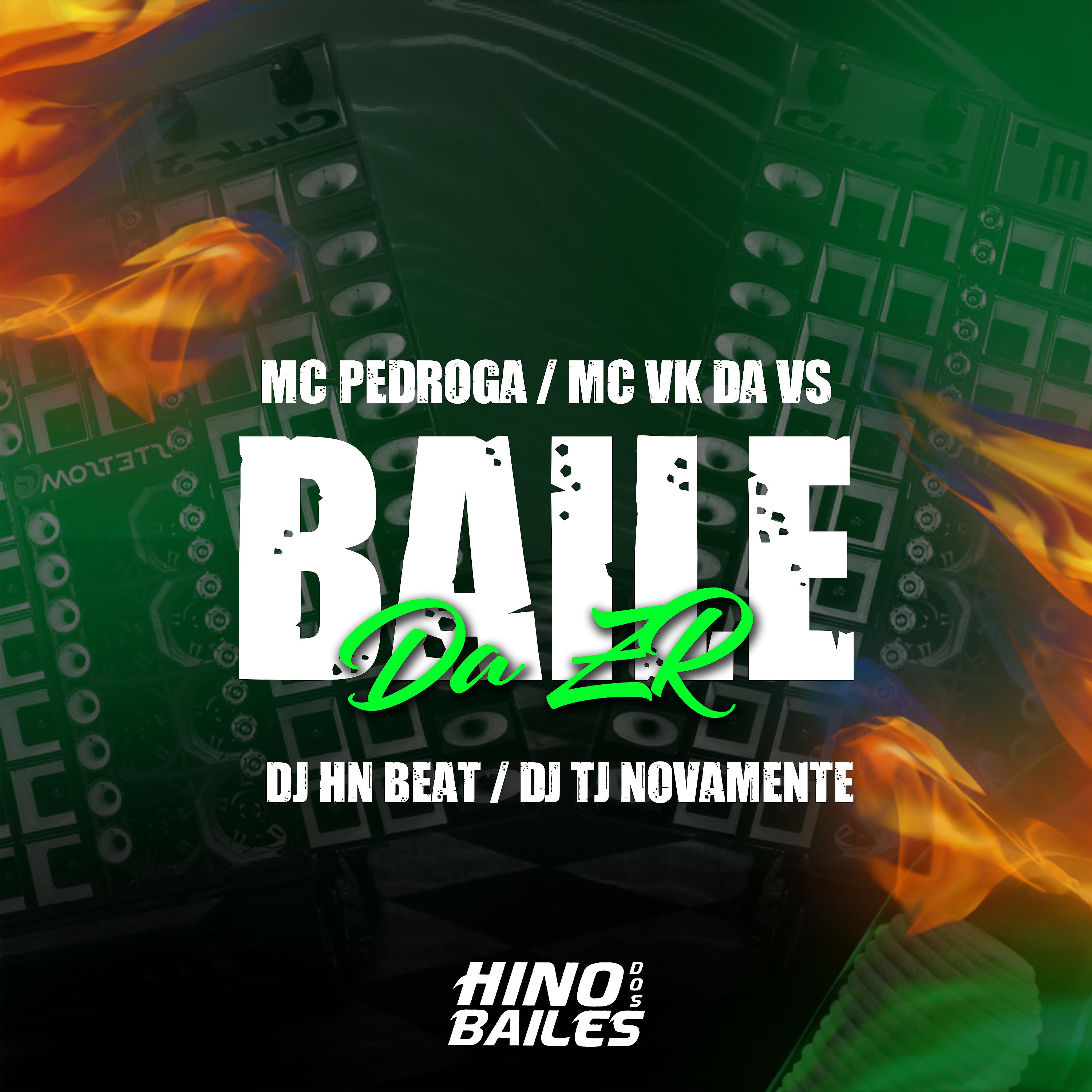 Постер альбома Baile da Zr