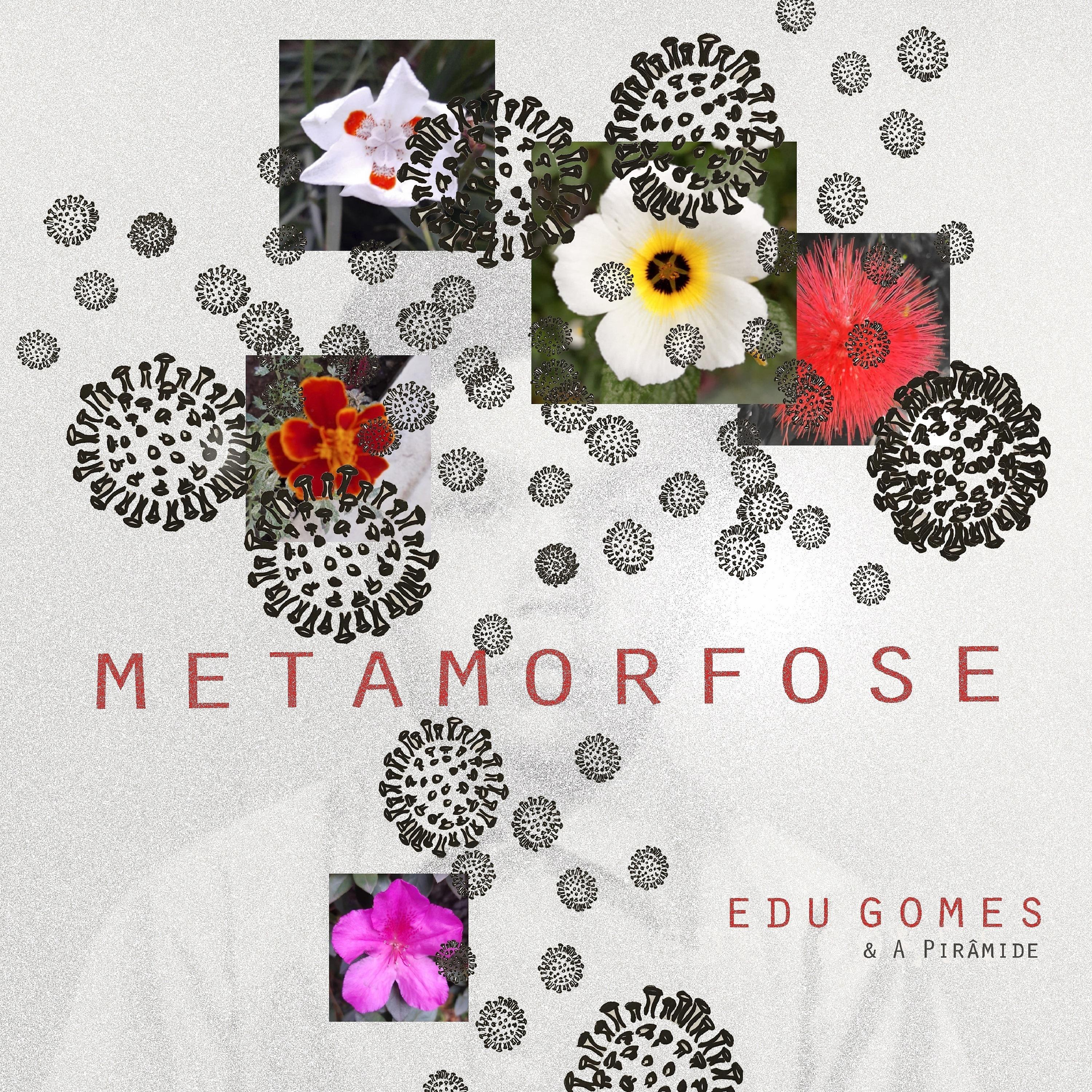 Постер альбома Metamorfose