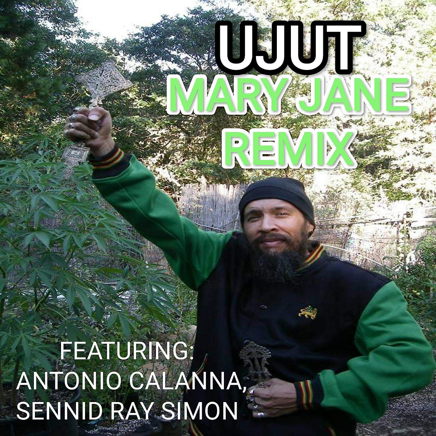 Постер альбома Mary Jane (Remix)