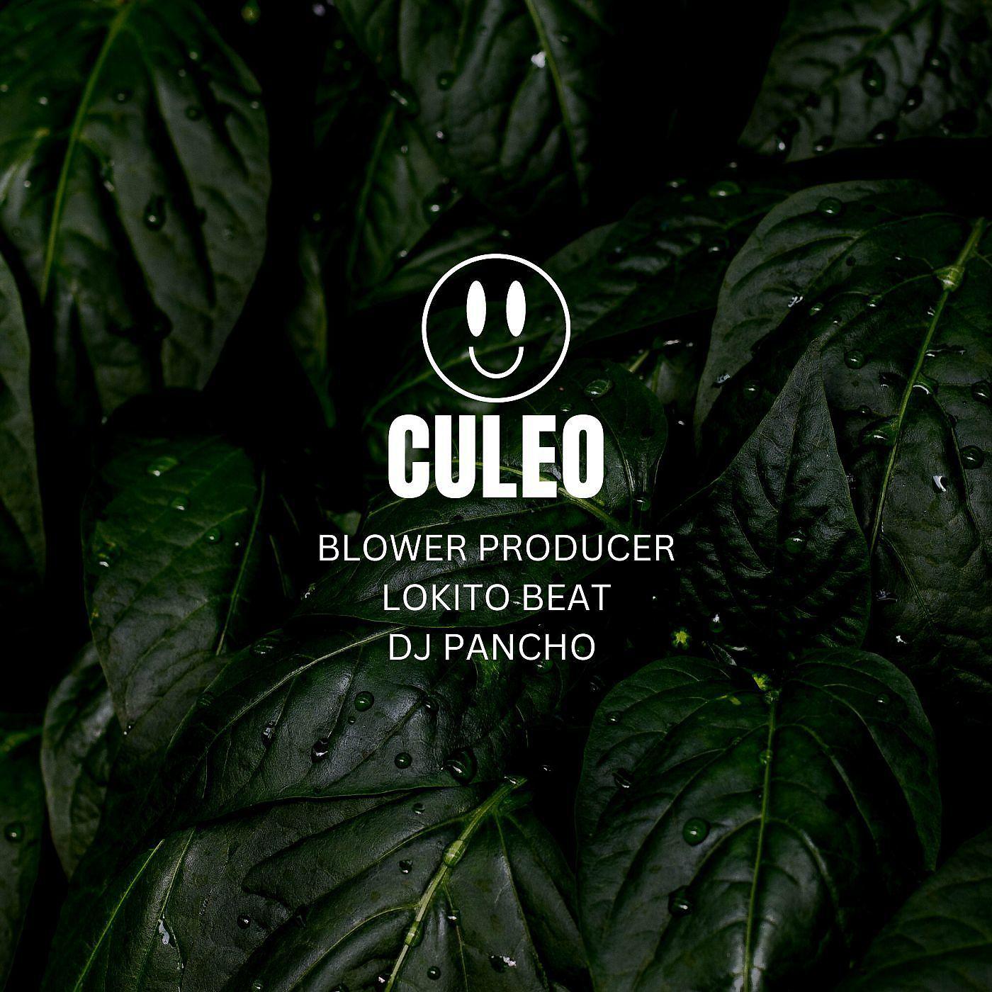 Постер альбома Culeo (feat. Lokito Beat, Dj Pancho)