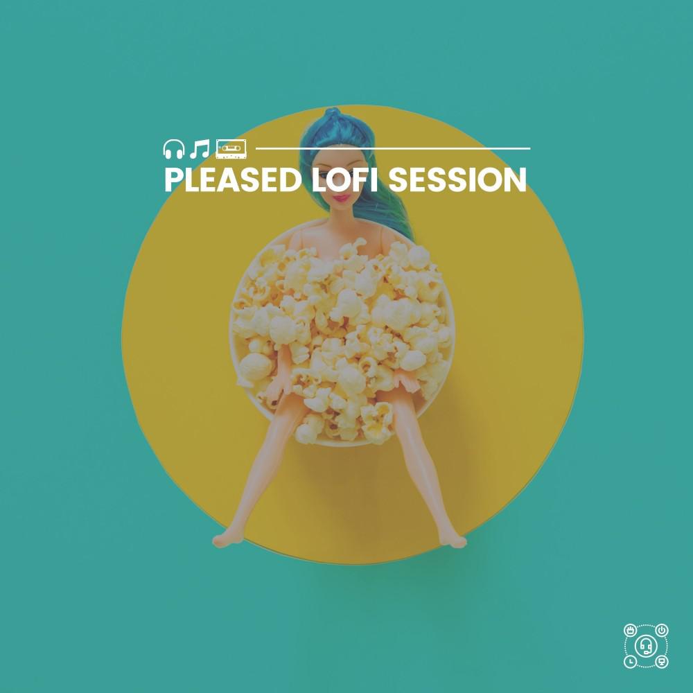Постер альбома Pleased Lofi Session