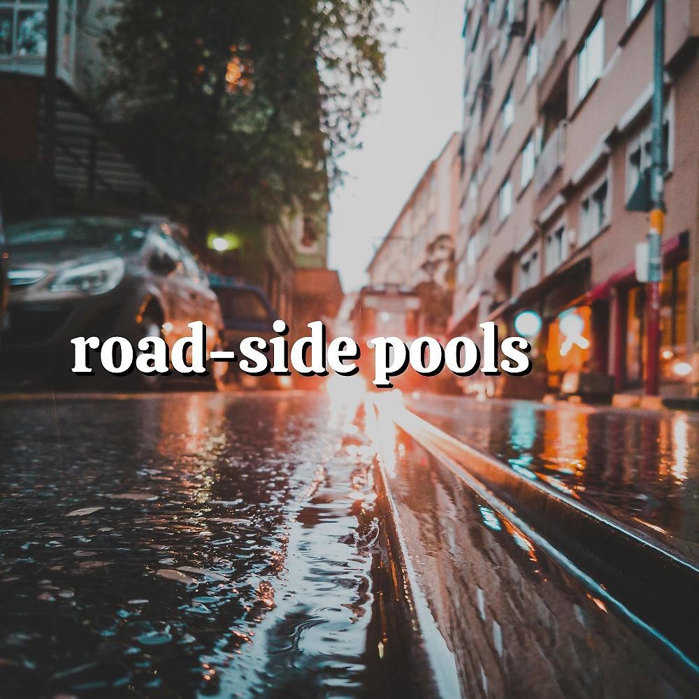 Постер альбома Road-Side Pools