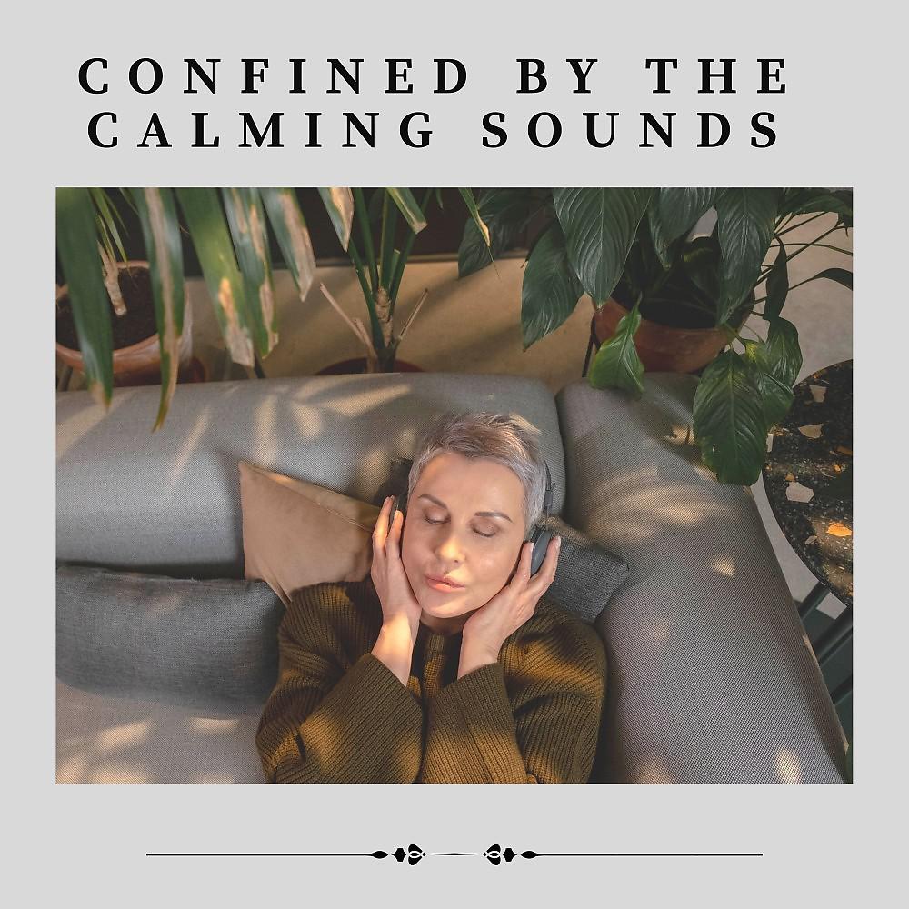 Постер альбома Confined by the Calming Sounds