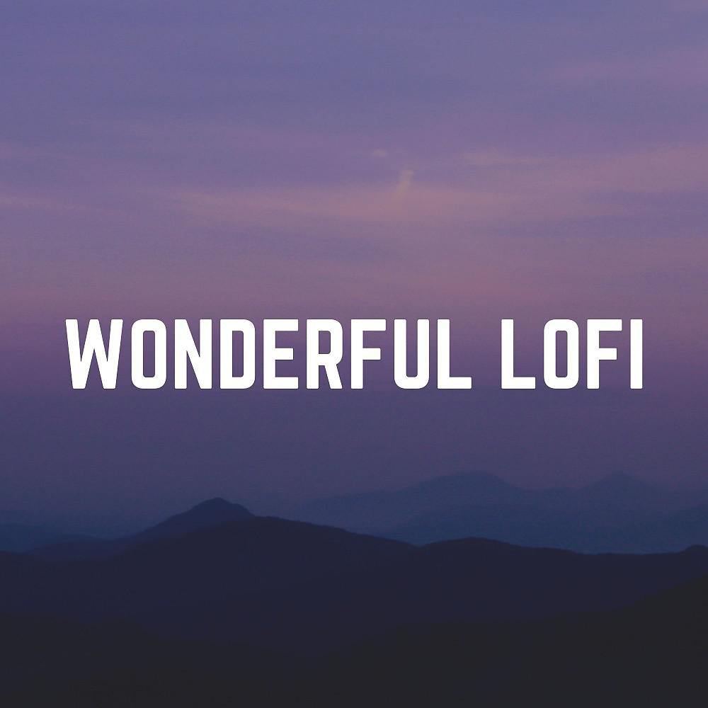 Постер альбома Wonderful Lofi