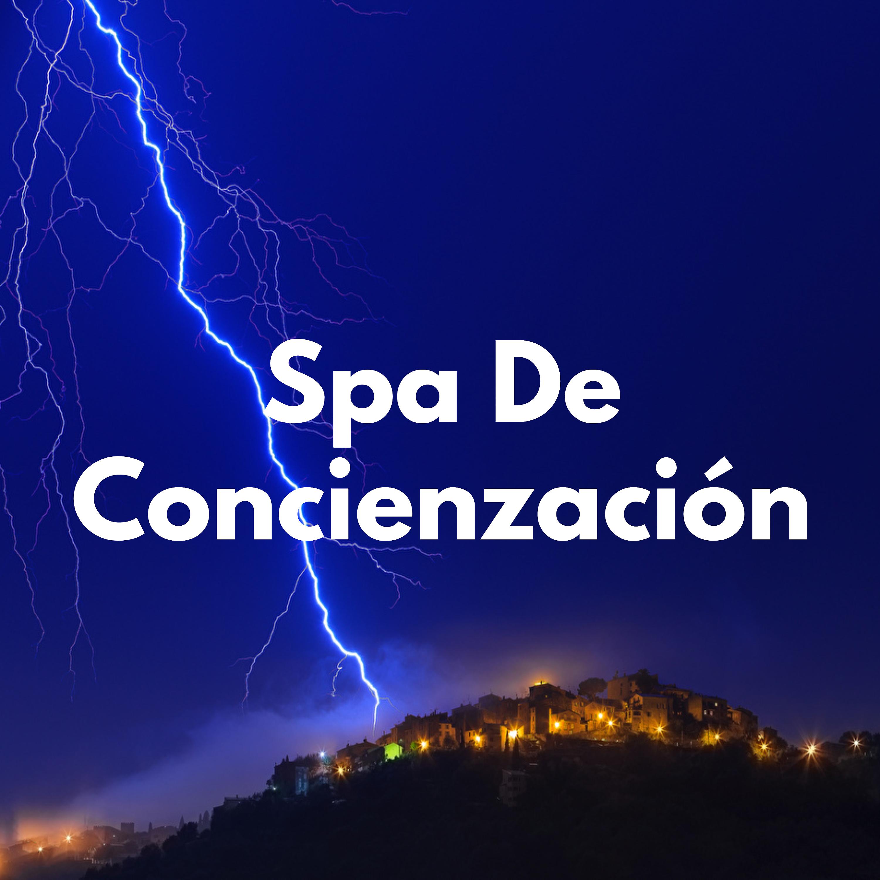 Постер альбома Spa De Concienzación
