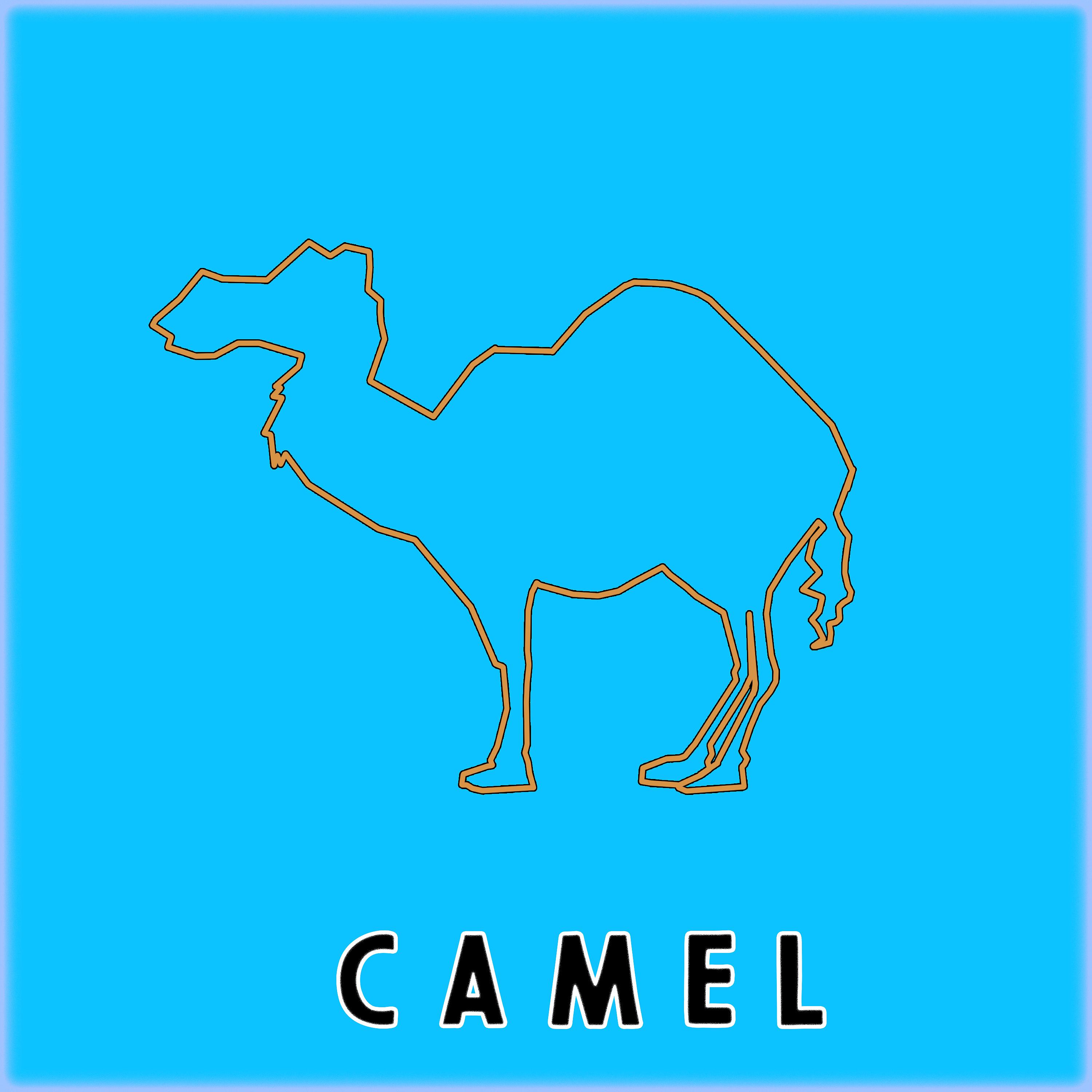 Постер альбома Camel
