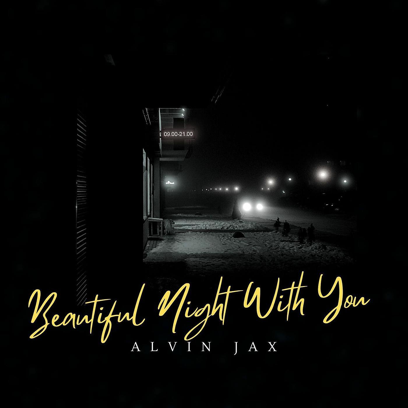 Постер альбома Beautiful Night With You
