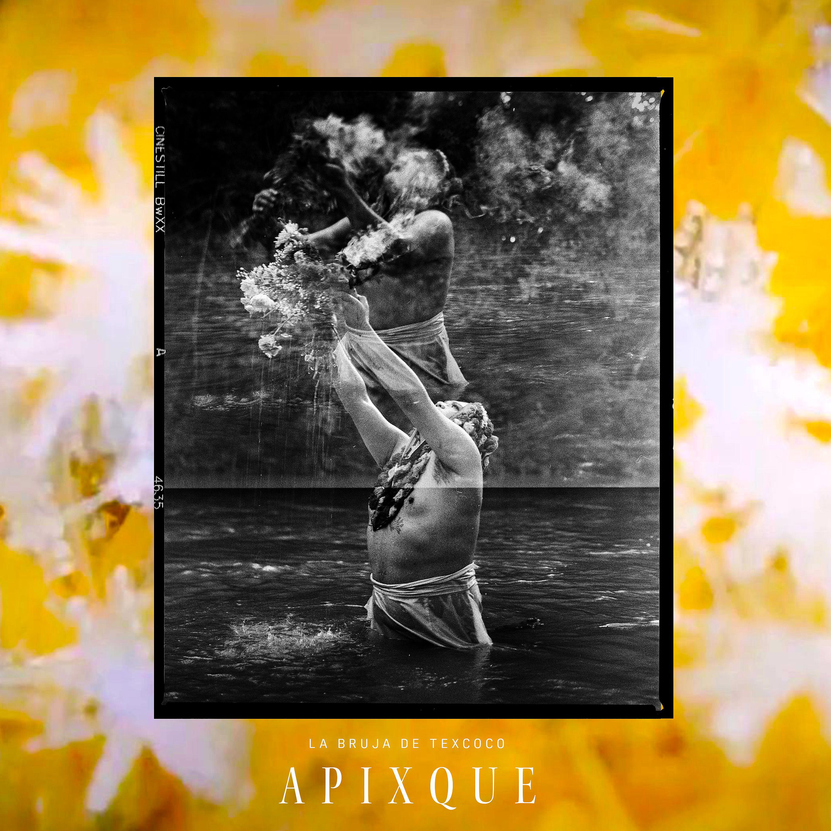 Постер альбома Apixque