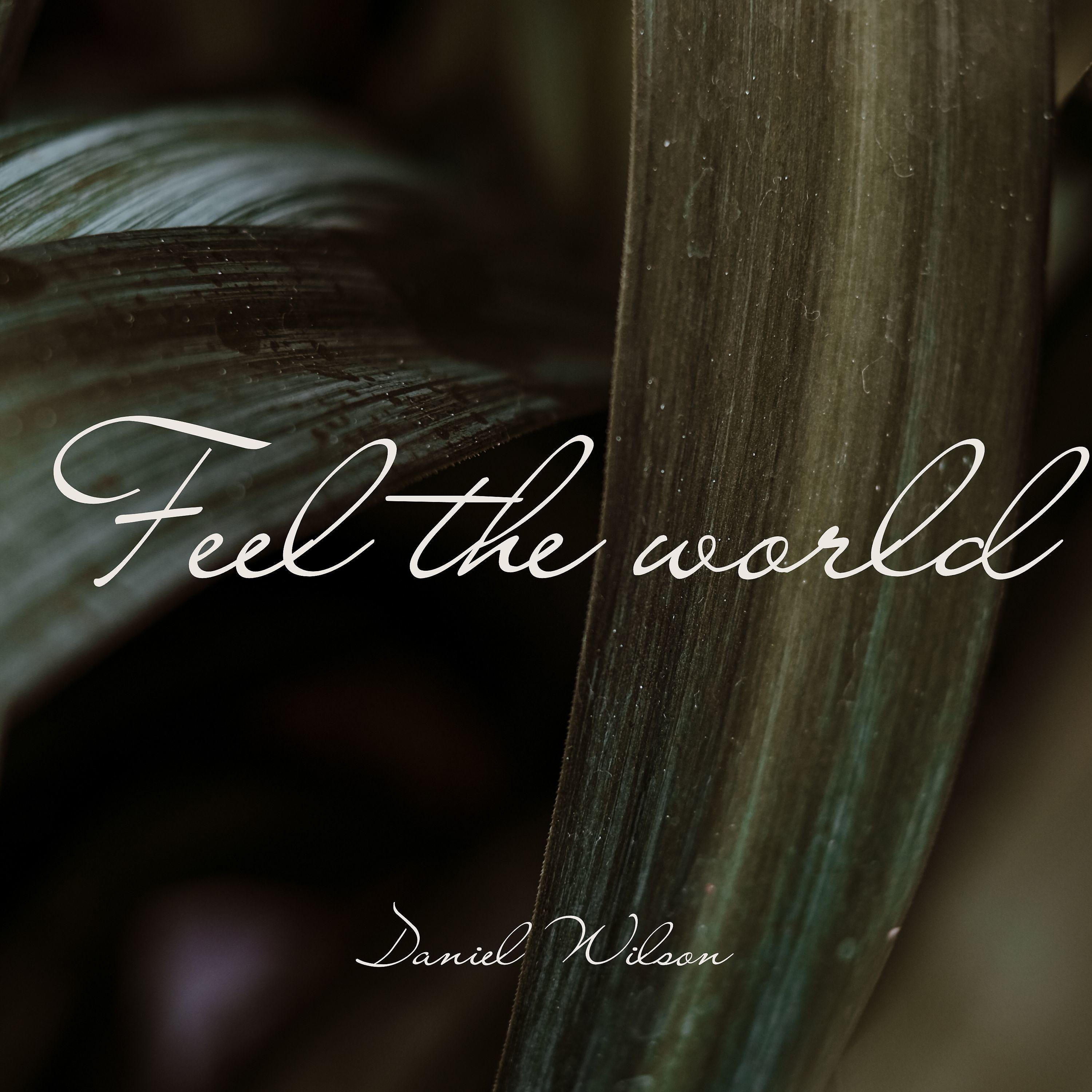 Постер альбома Feel the World