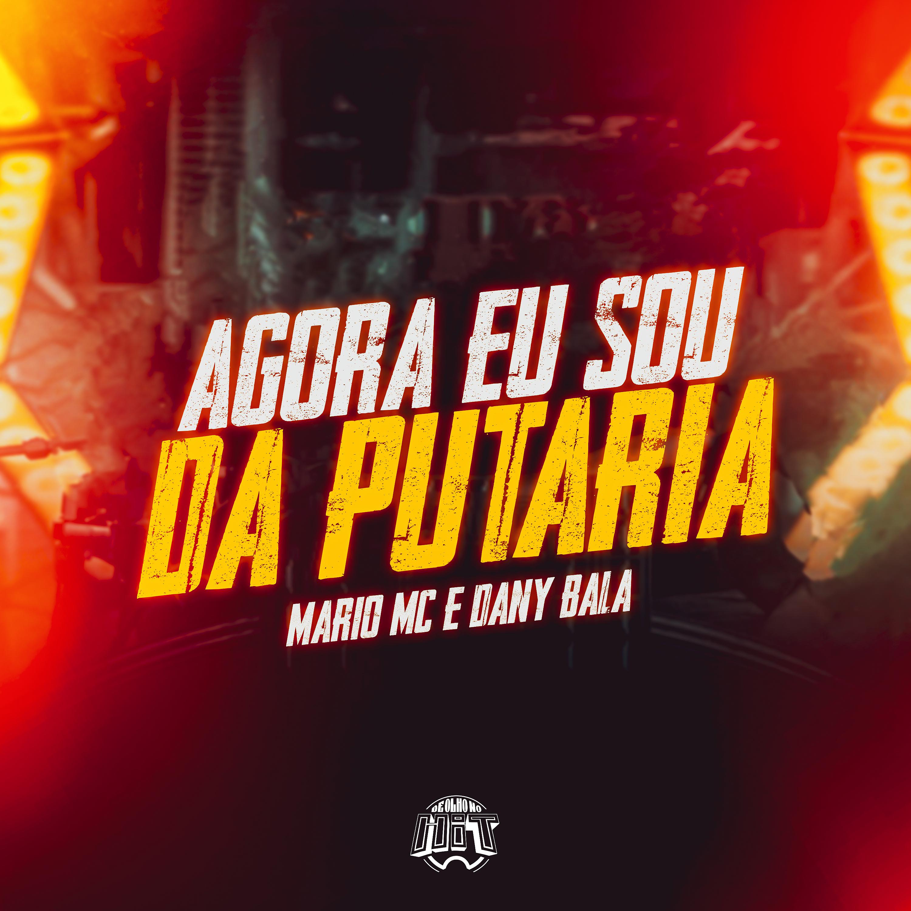 Постер альбома Agora Eu Sou da Putaria
