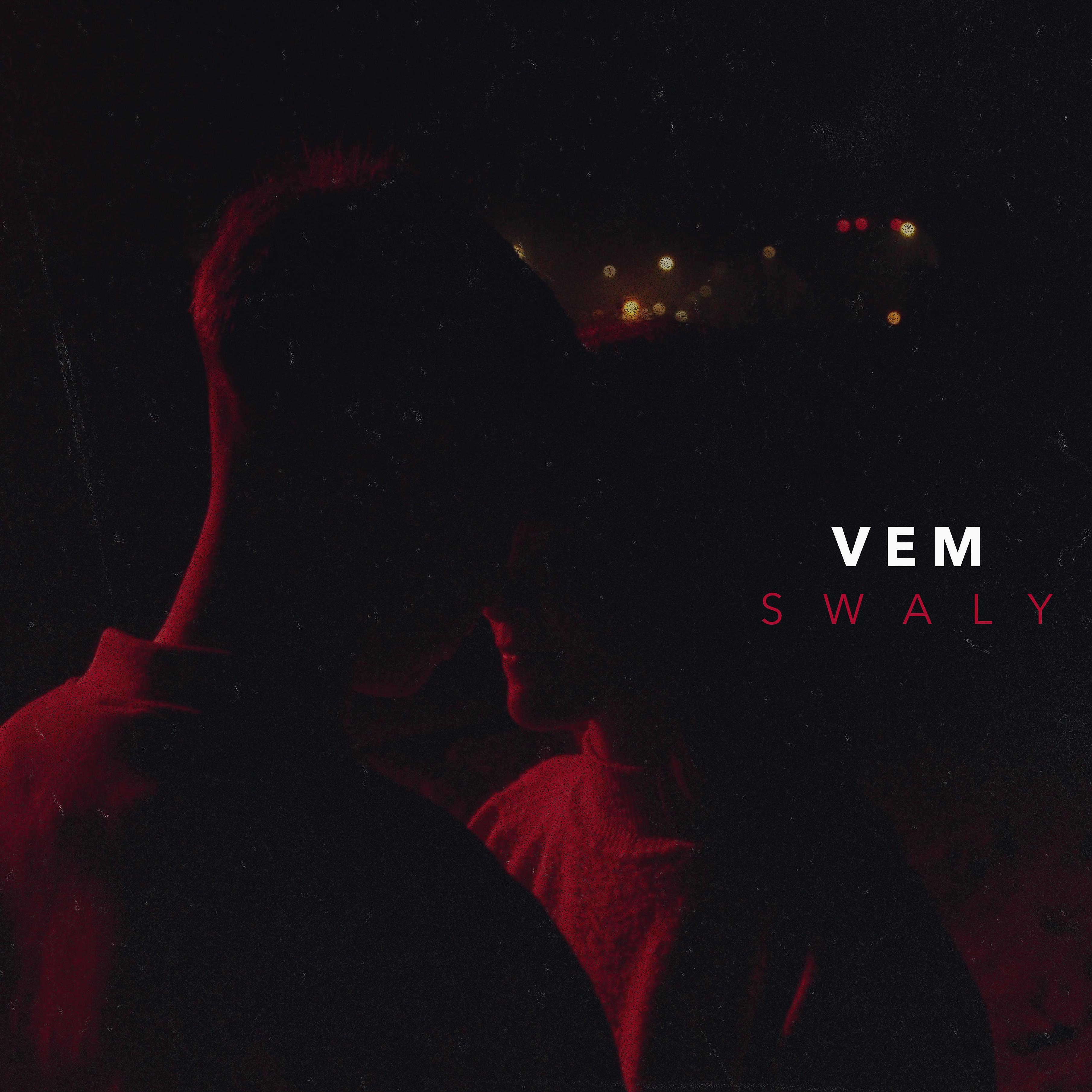 Постер альбома Vem