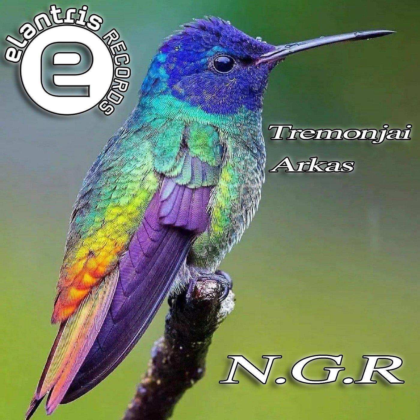 Постер альбома N.G.R