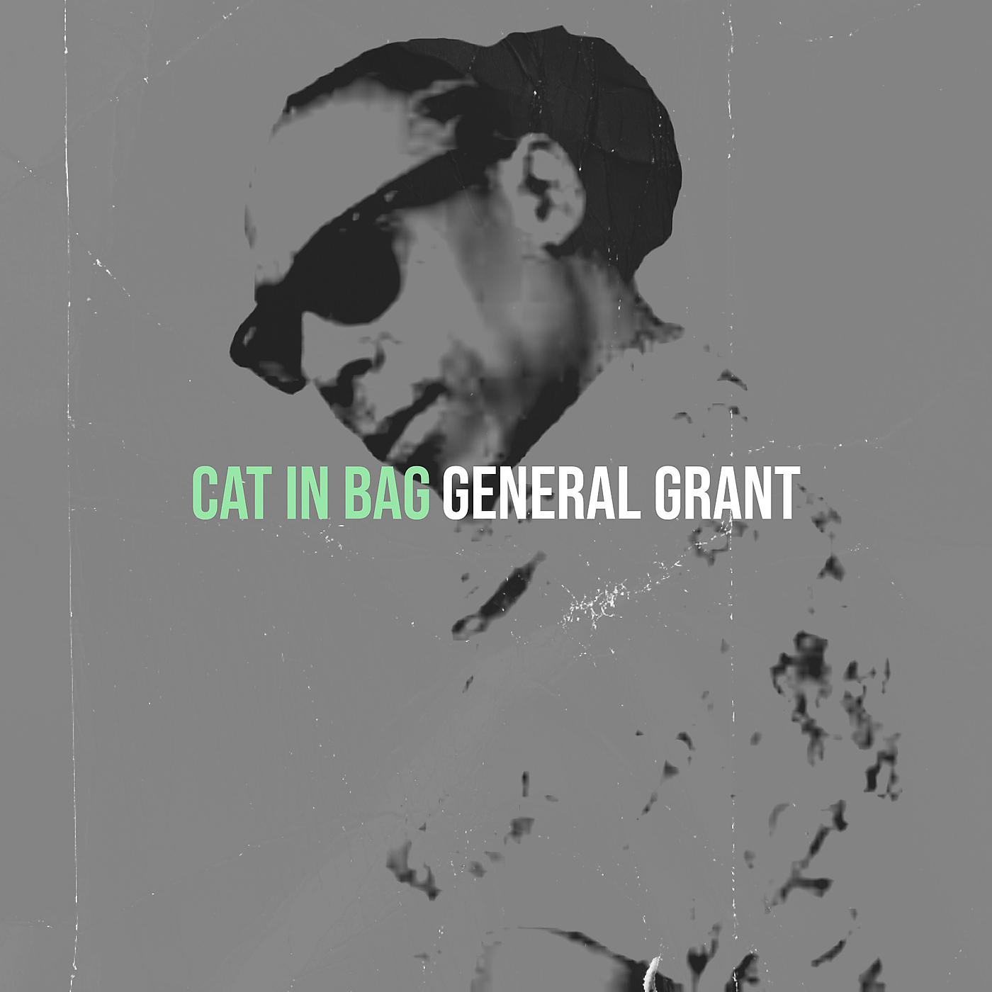 Постер альбома Cat in Bag