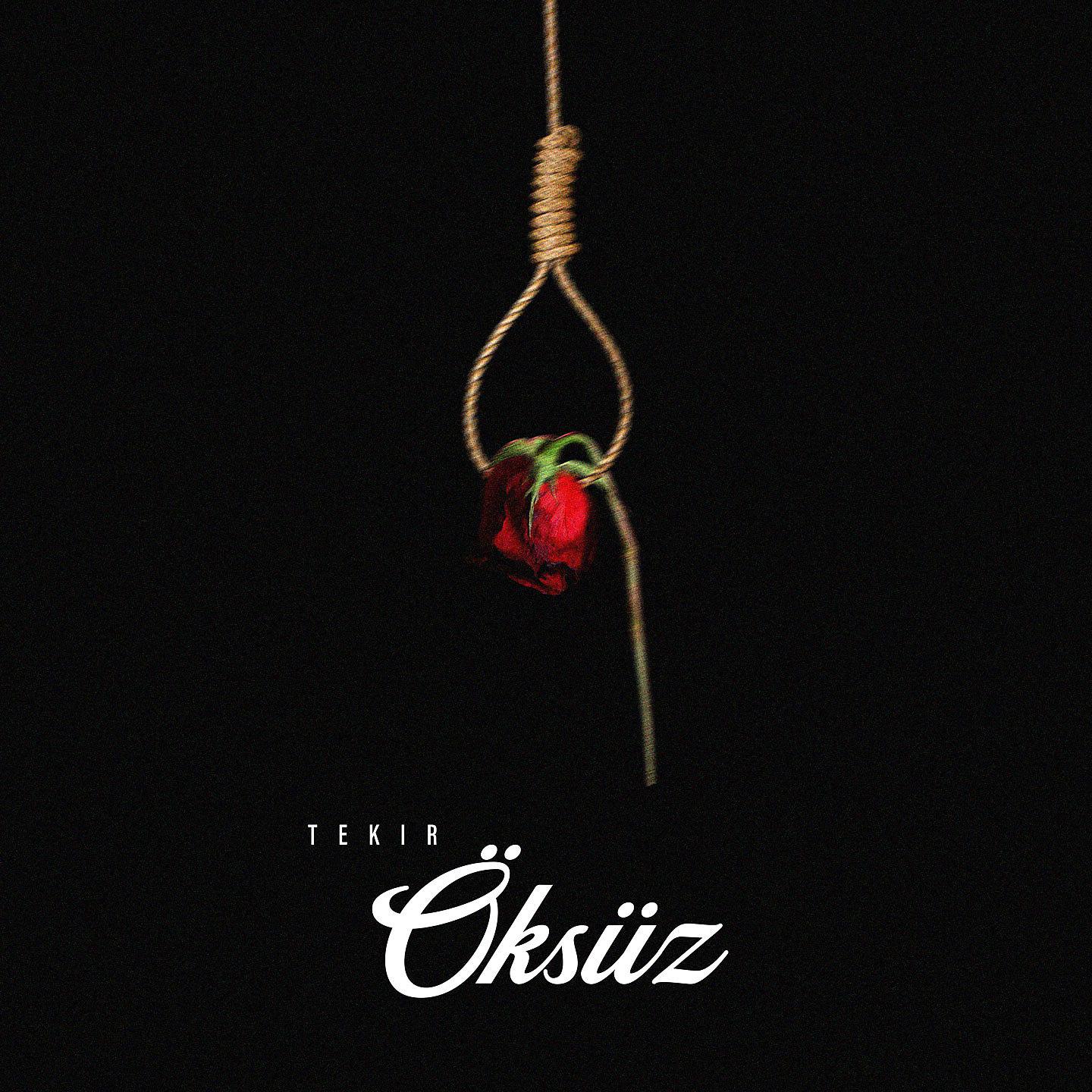 Постер альбома Öksüz