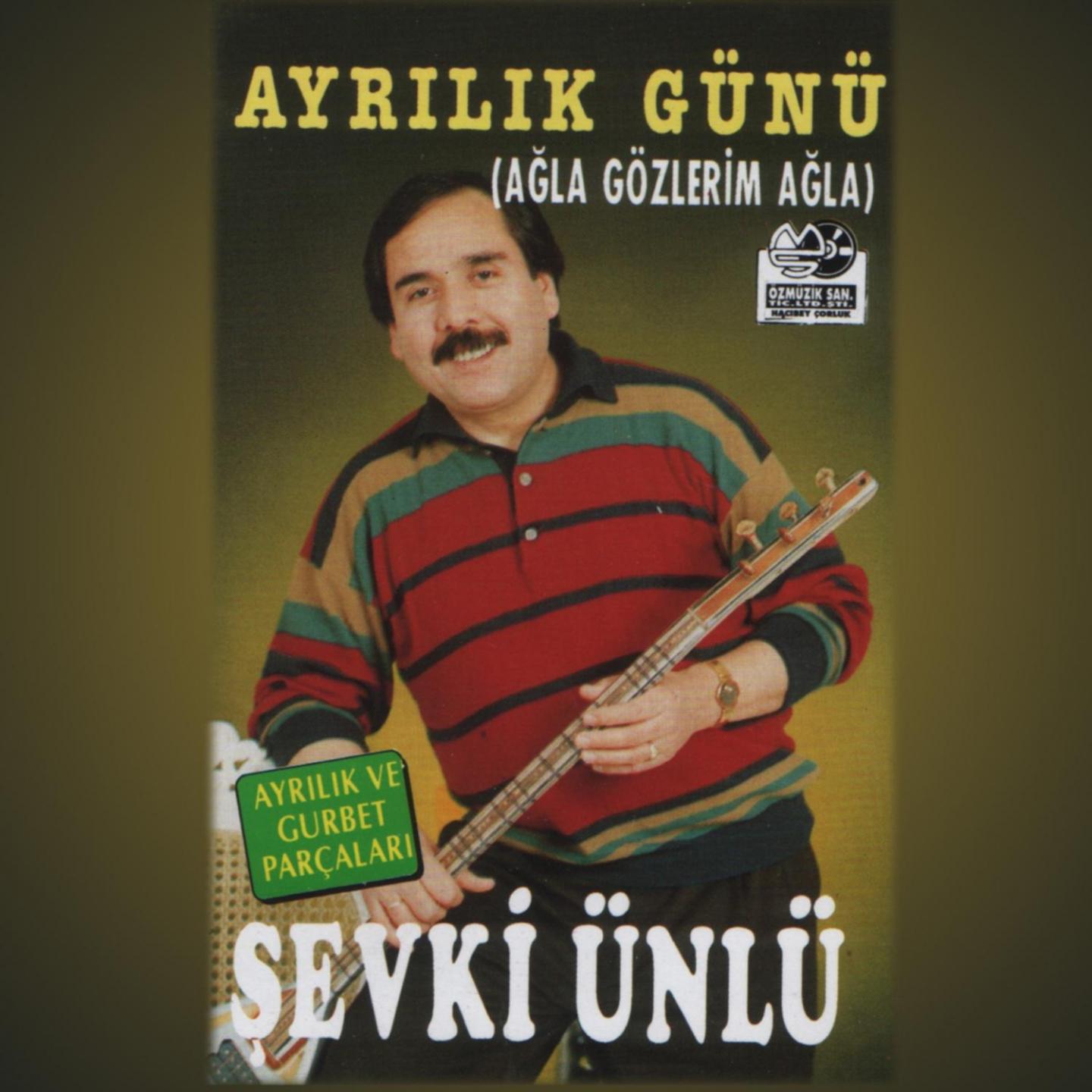 Постер альбома Ayrılık Günü